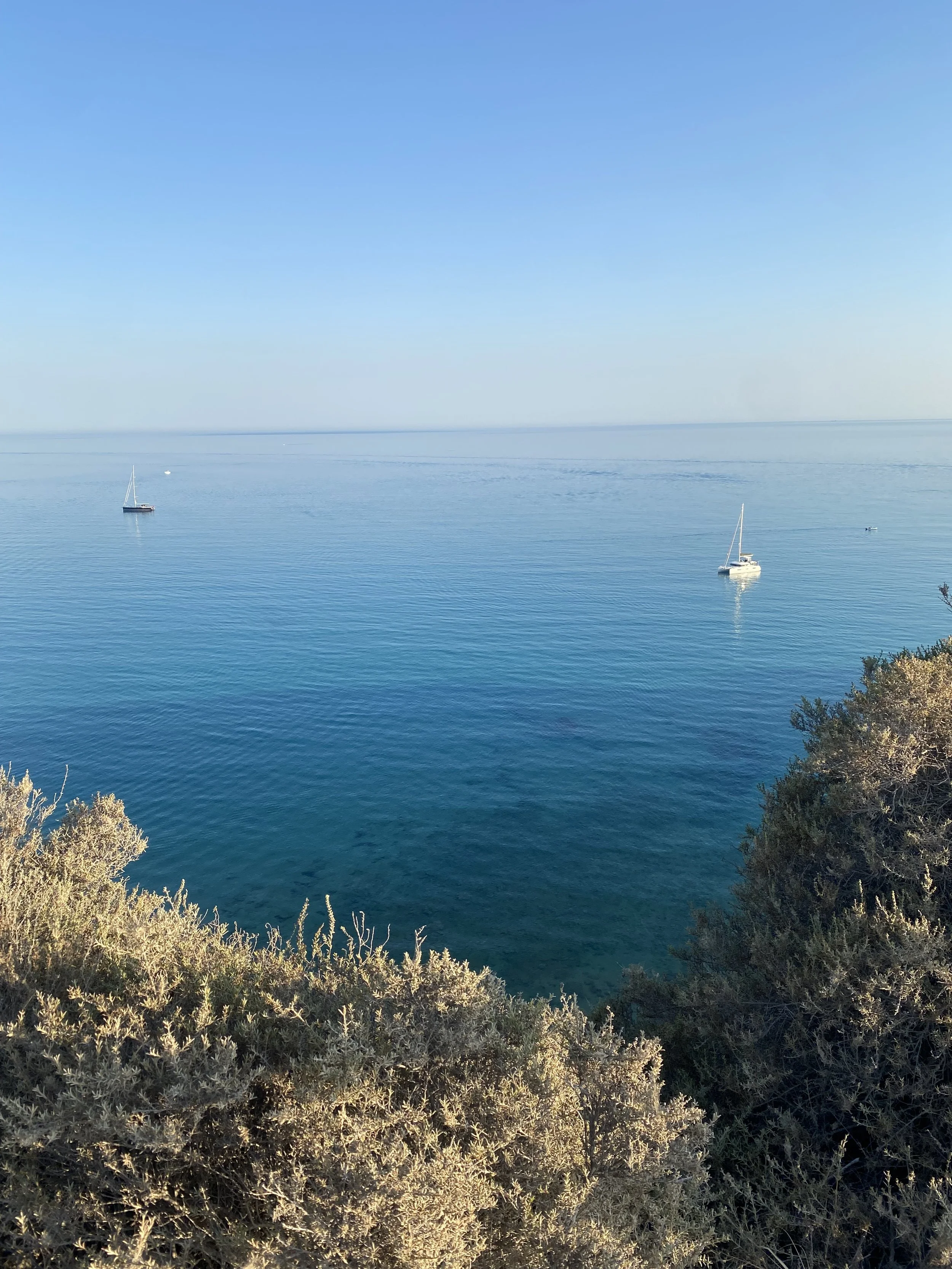 IMG_5253.jpeg