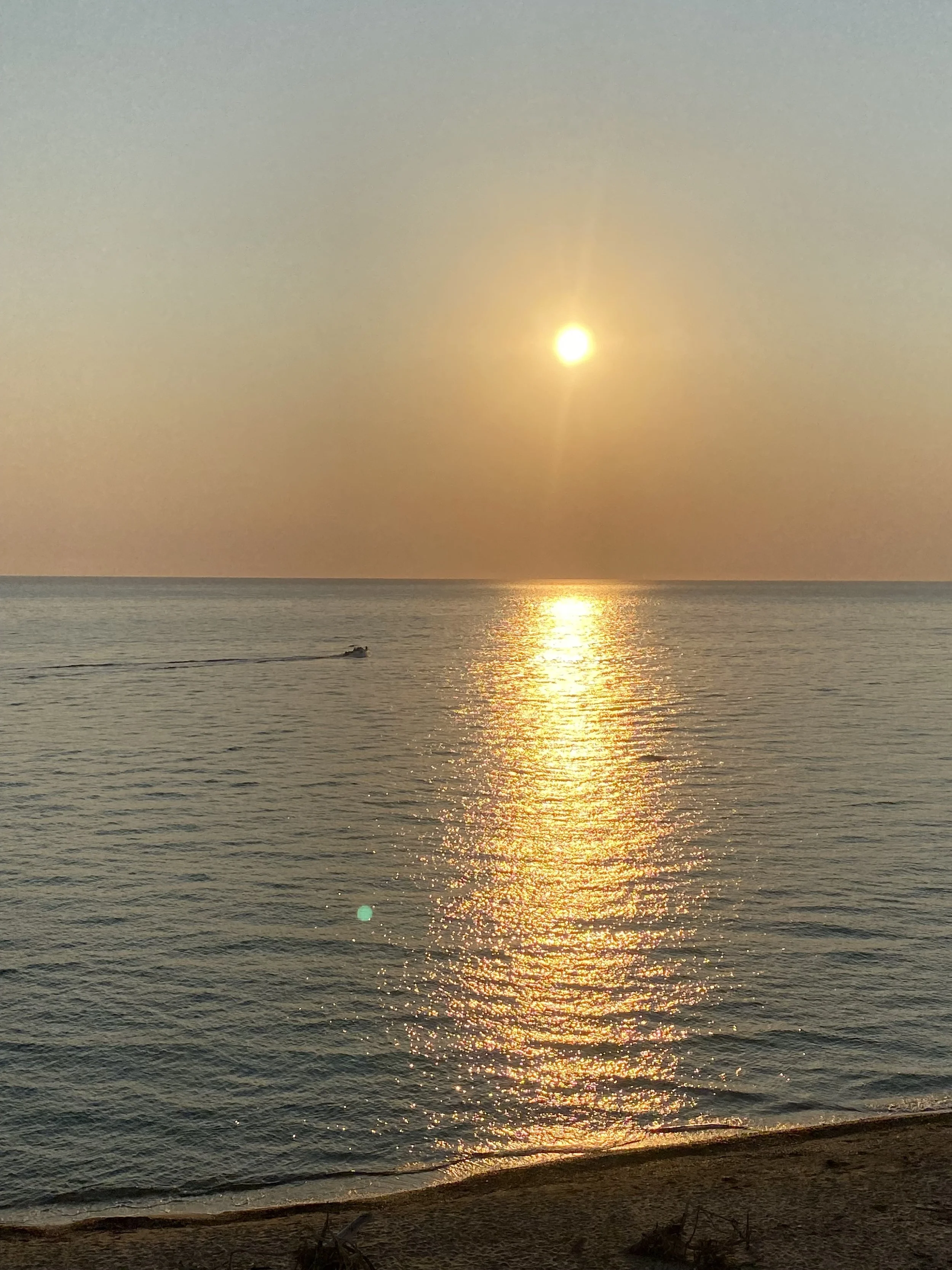 IMG_5262.jpeg