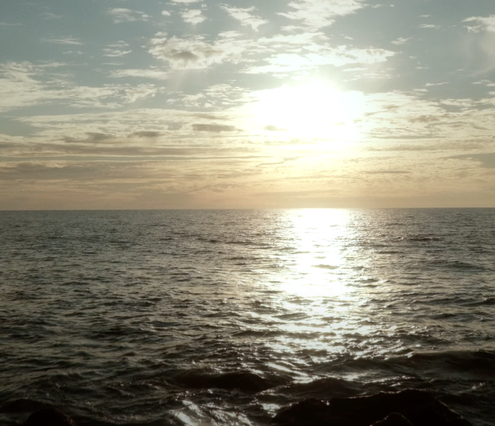 Screenshot 2024-03-14 at 9.49.29 PM.png