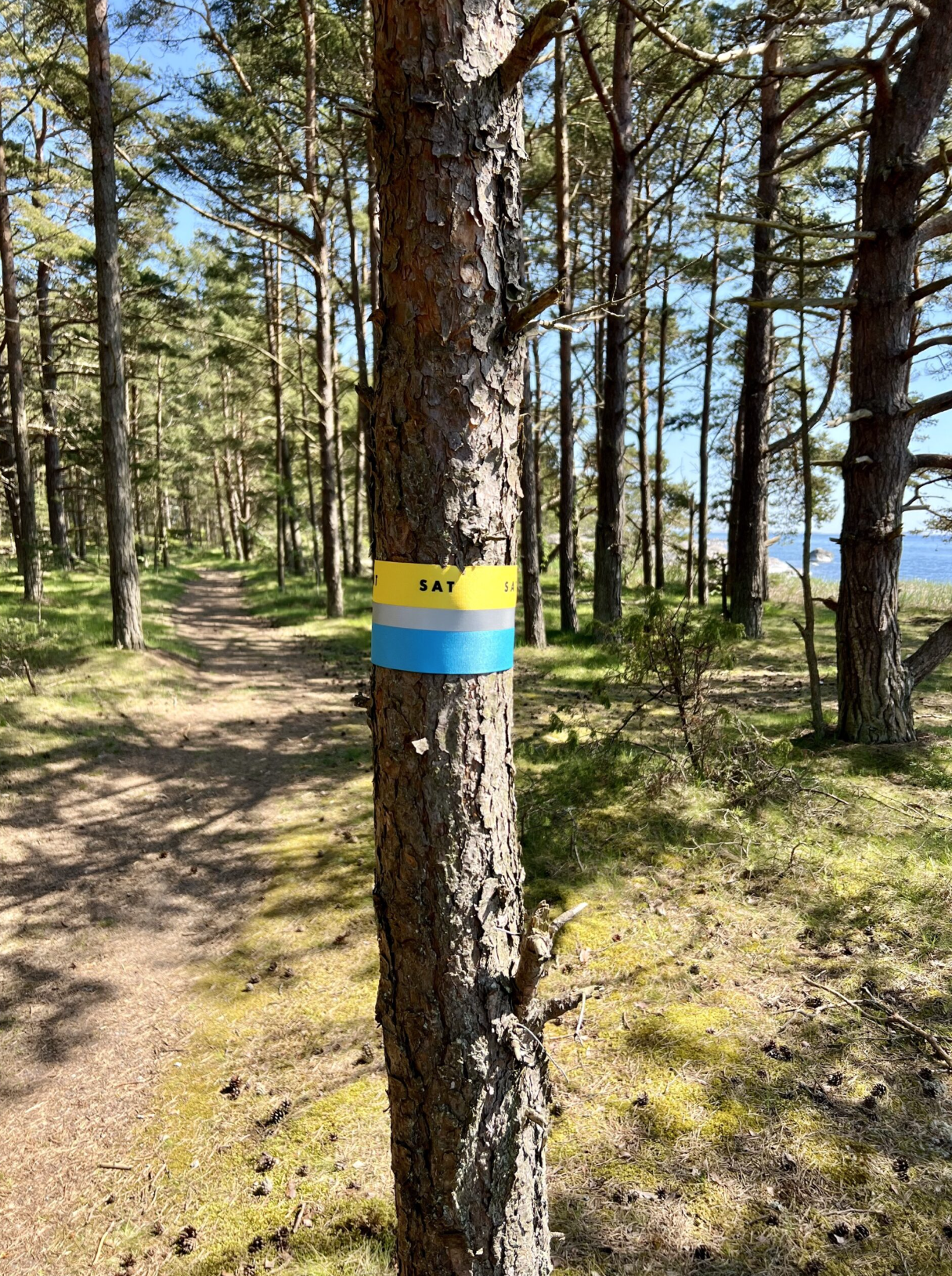 Vandrarhem Möja, Vandrarhem Långvik, B&B Möja, B&B Långvik, Pensionat ...