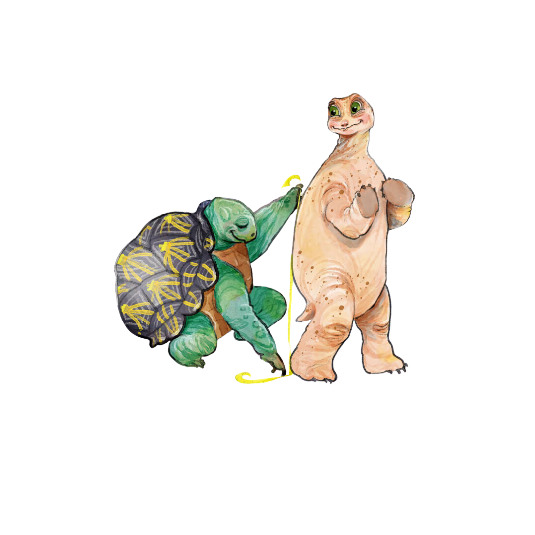 Harley the turtle getting fitted for a turtle shell