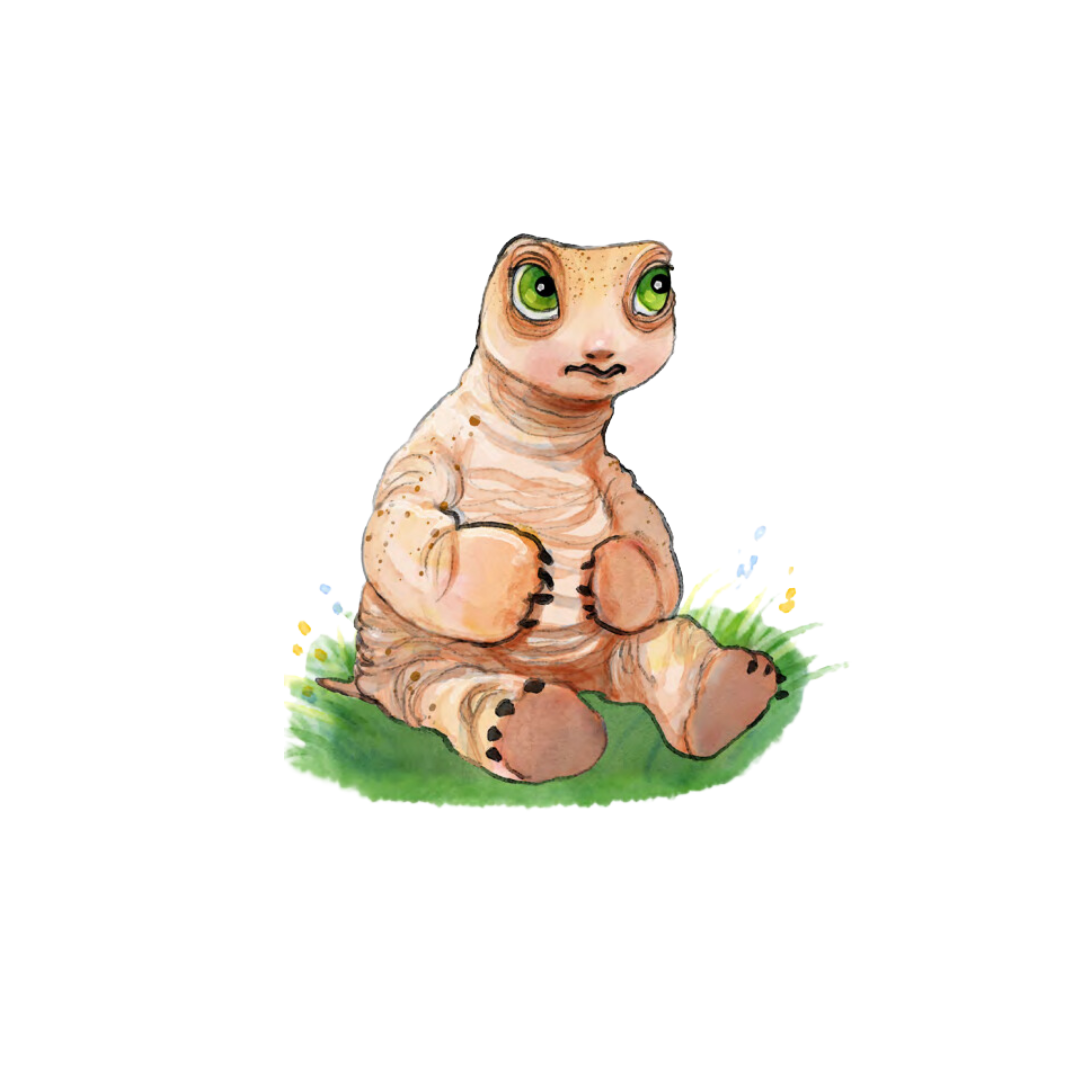 Harley the turtle sitting on grass