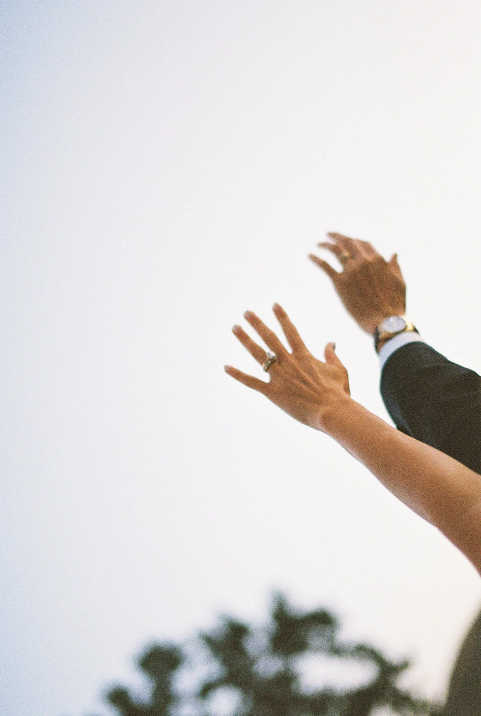 Close-up of hands reaching upward against a cloudy sky, with hints of trees below.