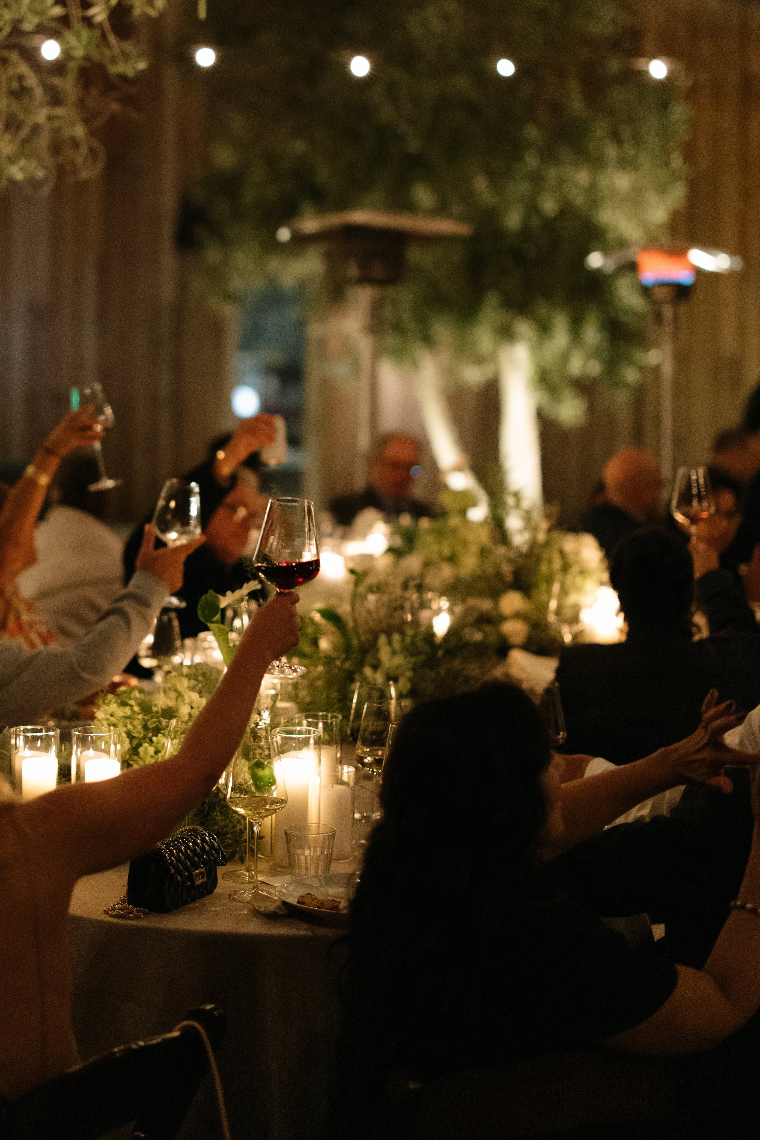 A group of people at a dinner party raising glasses of wine in a toast. The setting is elegant with candlelit tables and green foliage in the background.