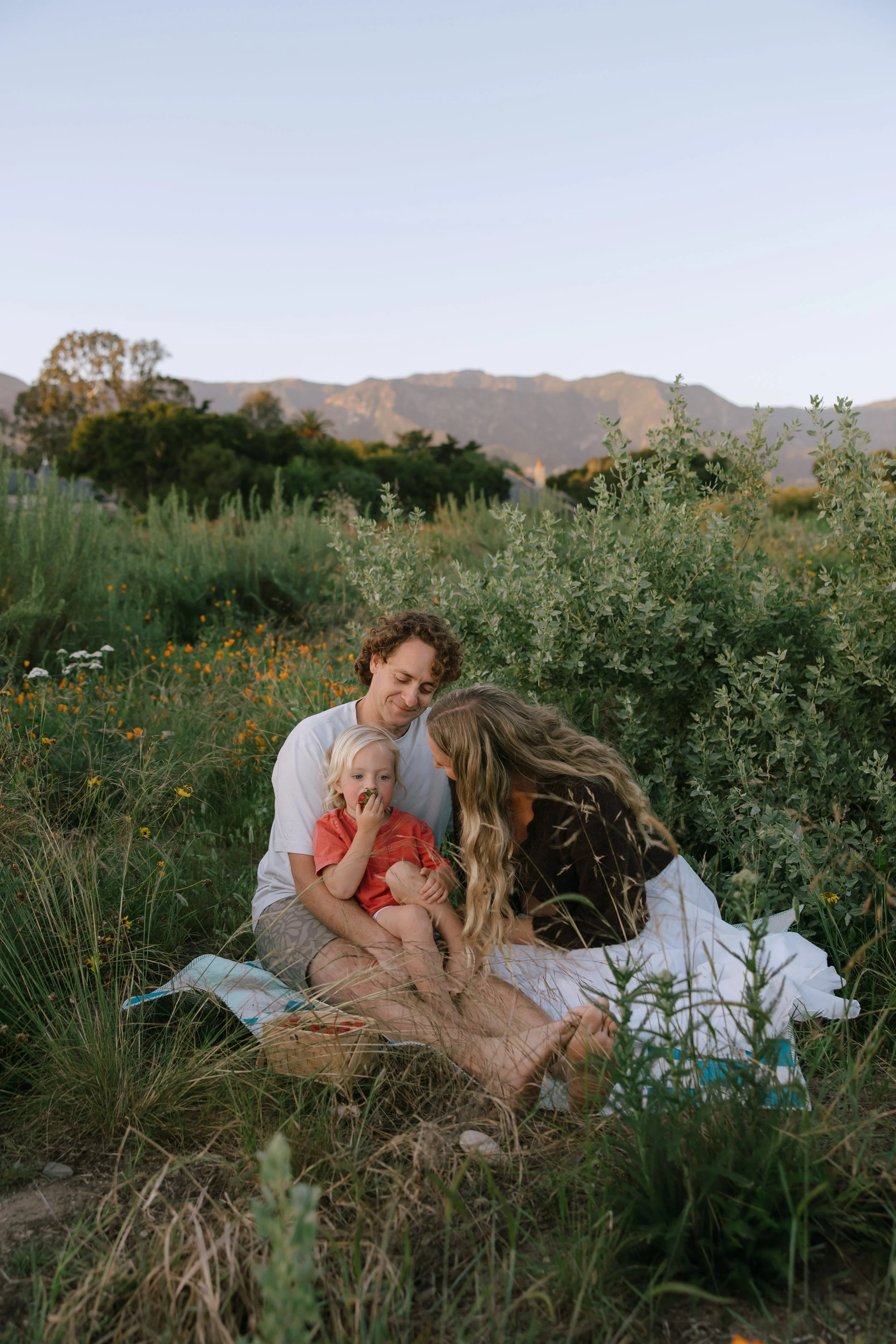 A family of four sitting in a field of wildflowers and tall grass, with mountains in the background during a clear evening sky.