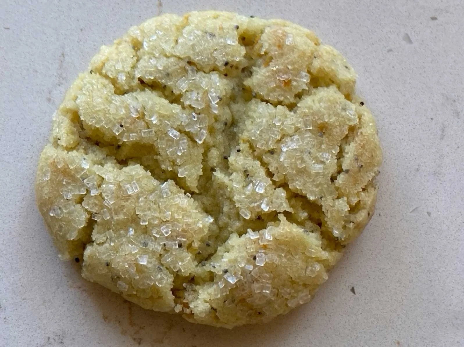 Lemon Poppy Seed Cookie