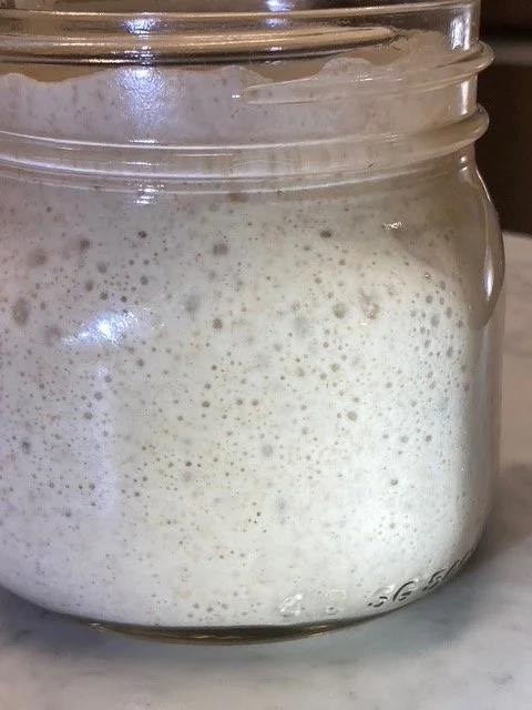North Coast Sourdough Starter