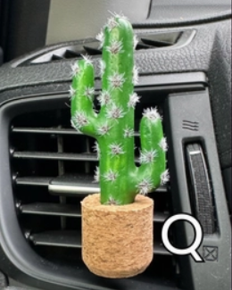 Plant Car Diffuser - Q