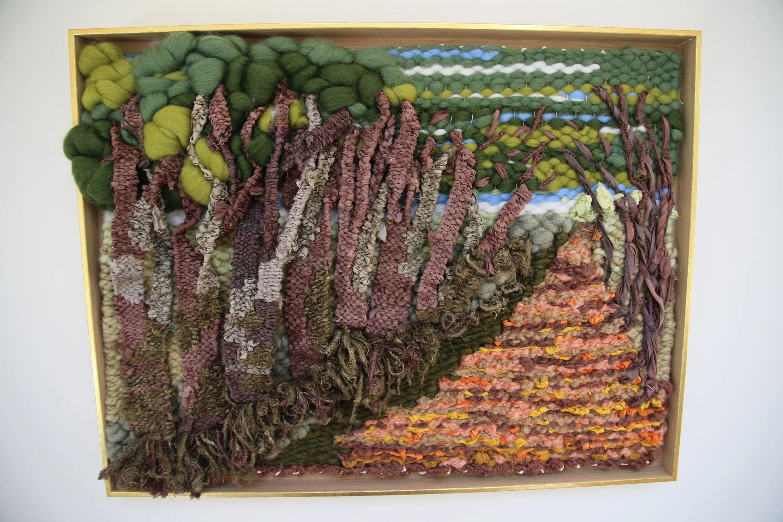 Beeches leaning SQ 2.JPG