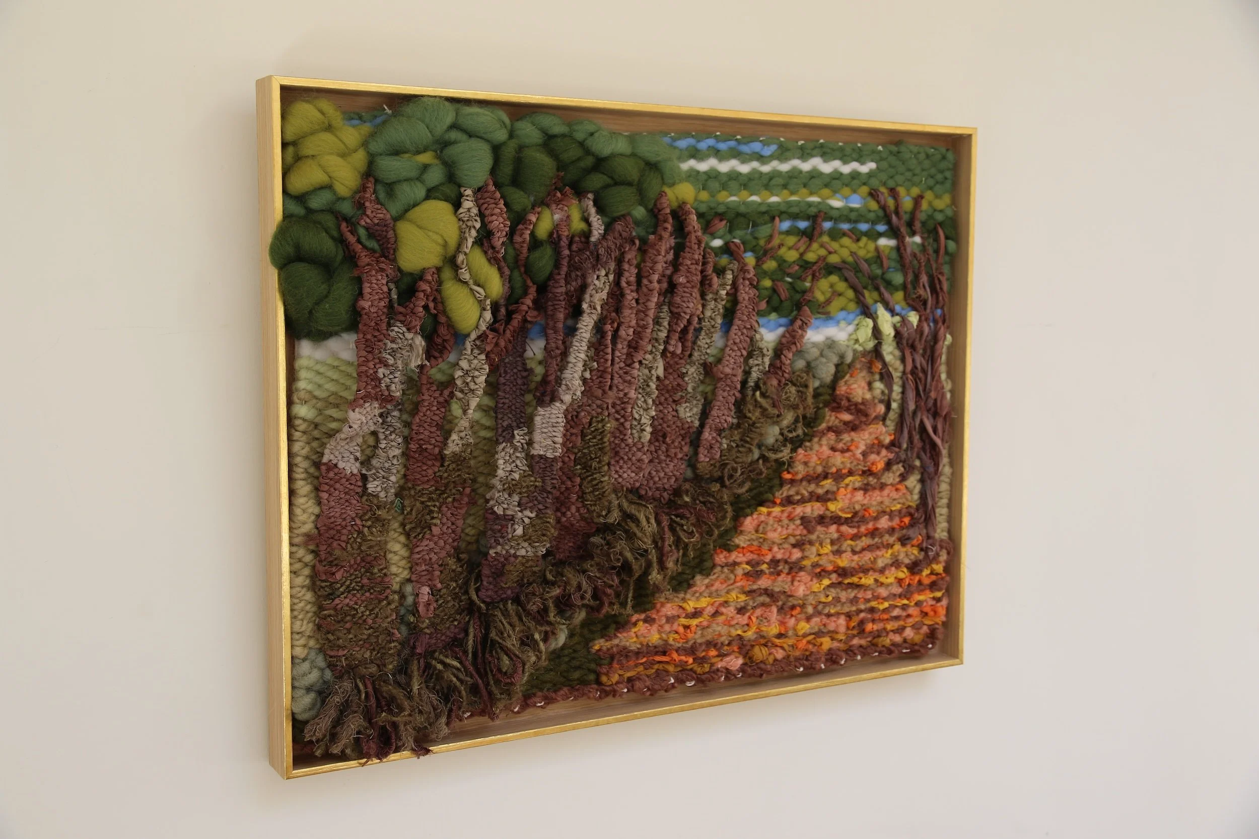 Beeches leaning Sq 1.JPG