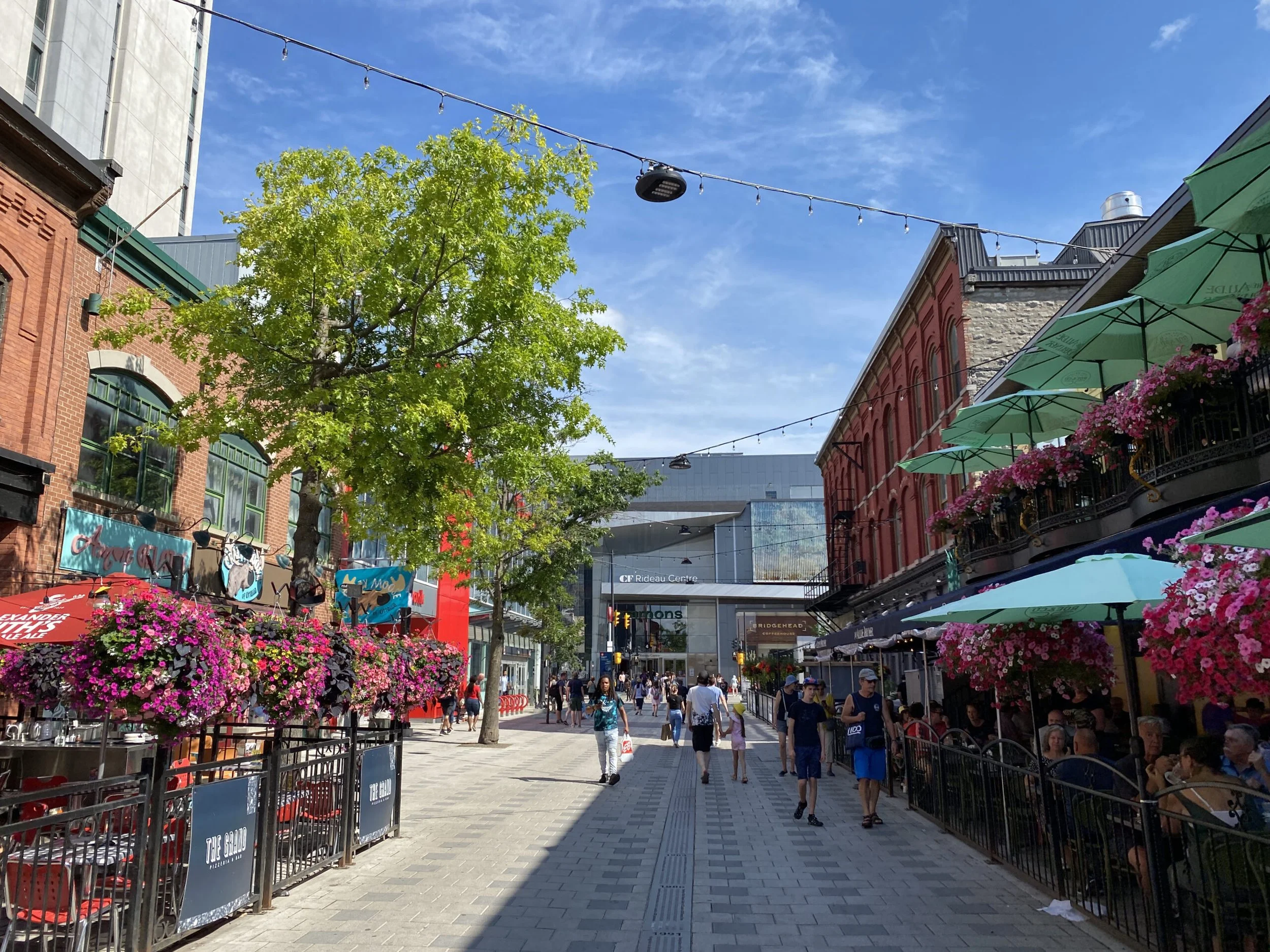 Pedestrian street with outdoor dining, pink flowers, green umbrellas, trees, and city buildings under a blue sky.