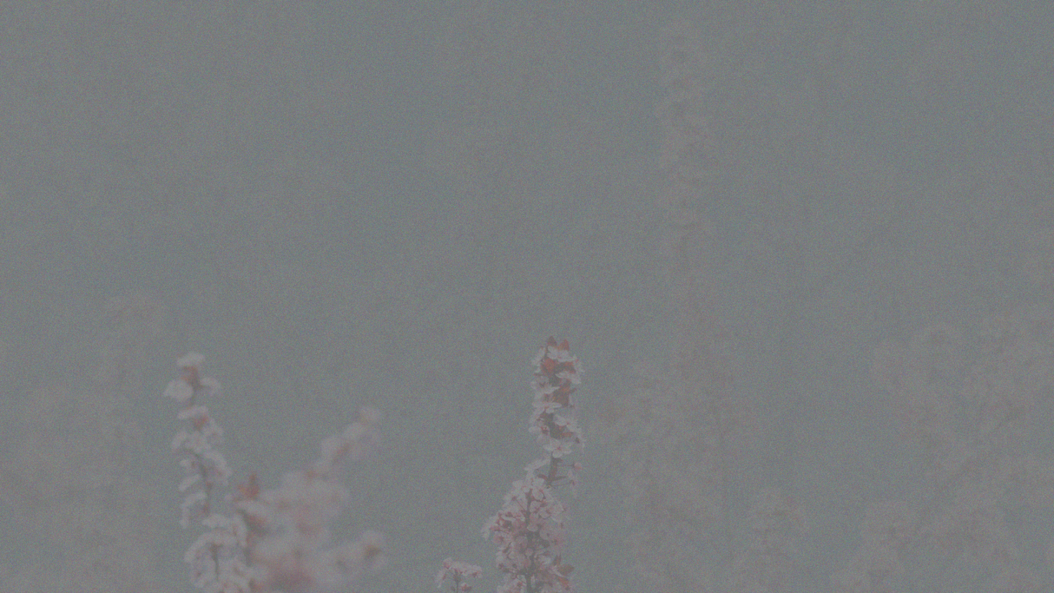 Redeemer Bible Church Sermon Audio