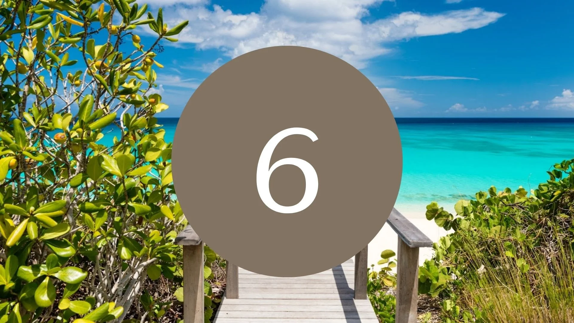 6