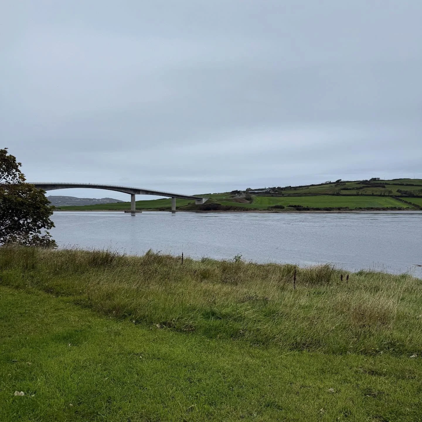 Our Ireland road trip started in Dublin, then north to Donegal, and finished in Galway. Good eats, gorgeous green views, and so many 🐄🐑 

Interested in your own trip to Ireland? Let me know! 🍀