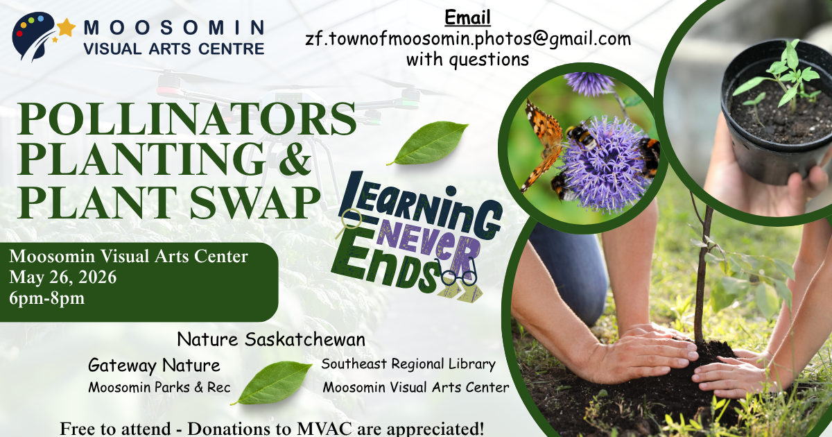 Pollinators, Planting and Plant Swap