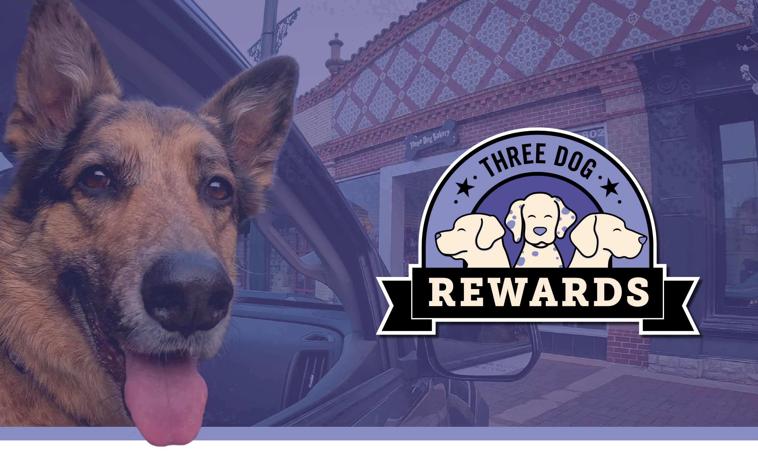 Three Dog Rewards