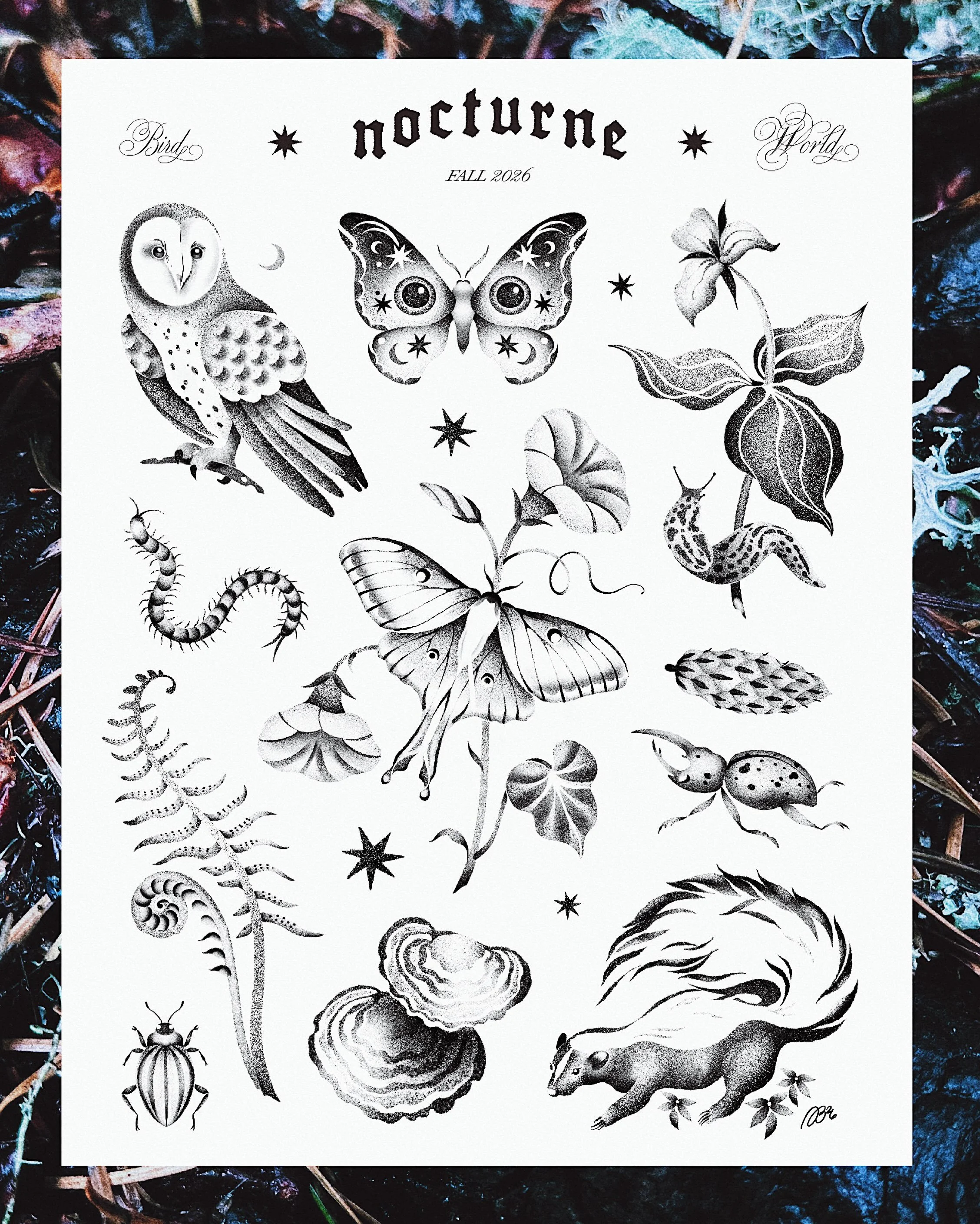 NOCTURNE: a collection of nocturnal flash inspired by creatures of the night 🦋🗡️🕯️💫 booking october, november, and december via 🔗 in my bio!

happy autumn equinox! at last, the witching season is upon us. this is some of my most ambitious flash 