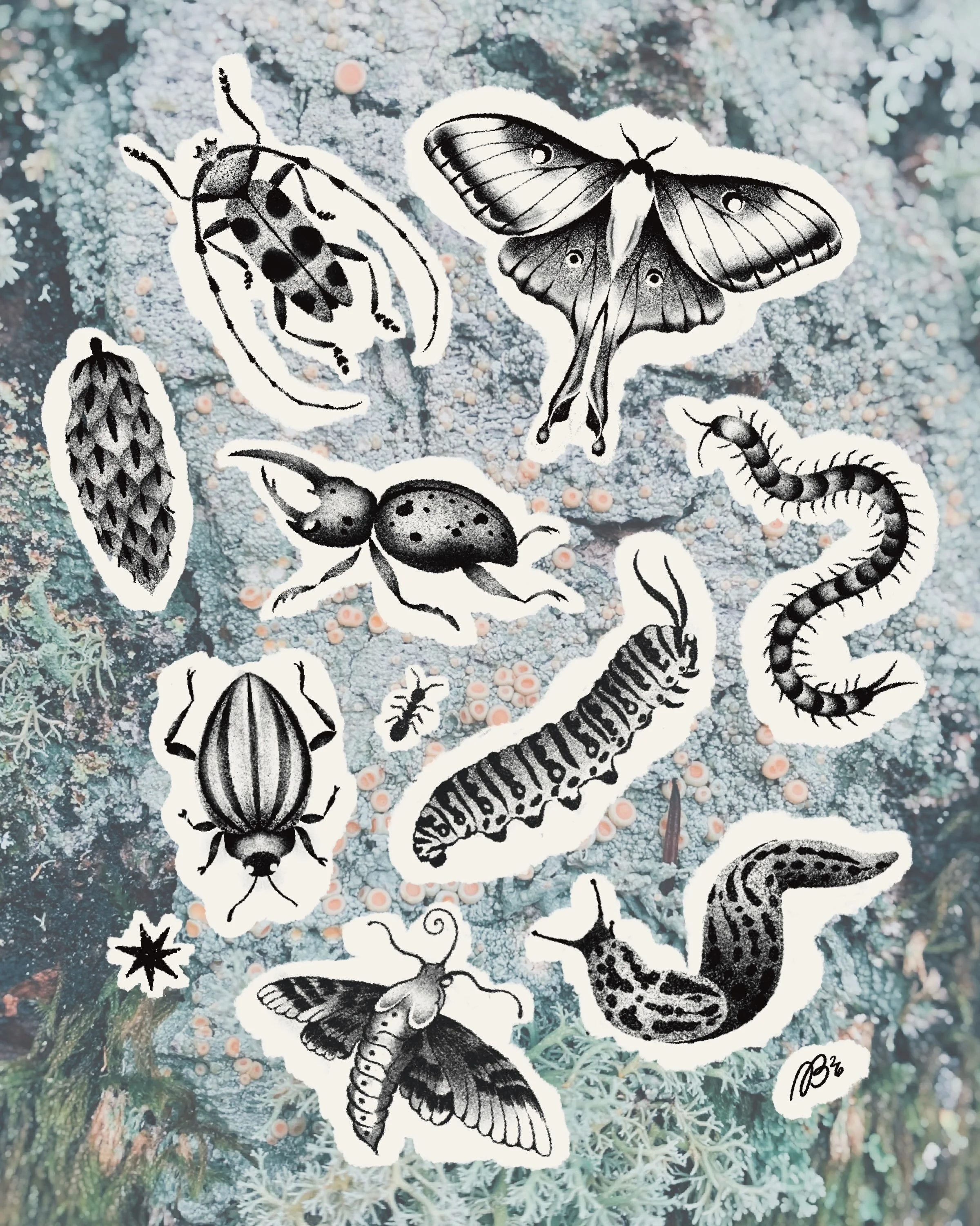 BUGS!!!! + a booking update! 🪲🦋🐛🪳🐜

i have added the last spots of 2026 to my calendar! a sprinkling of dates in oct, nov, and dec! booking for these flash designs + Nocturne flash (go to my website to see what&rsquo;s available!).

would LOVE t