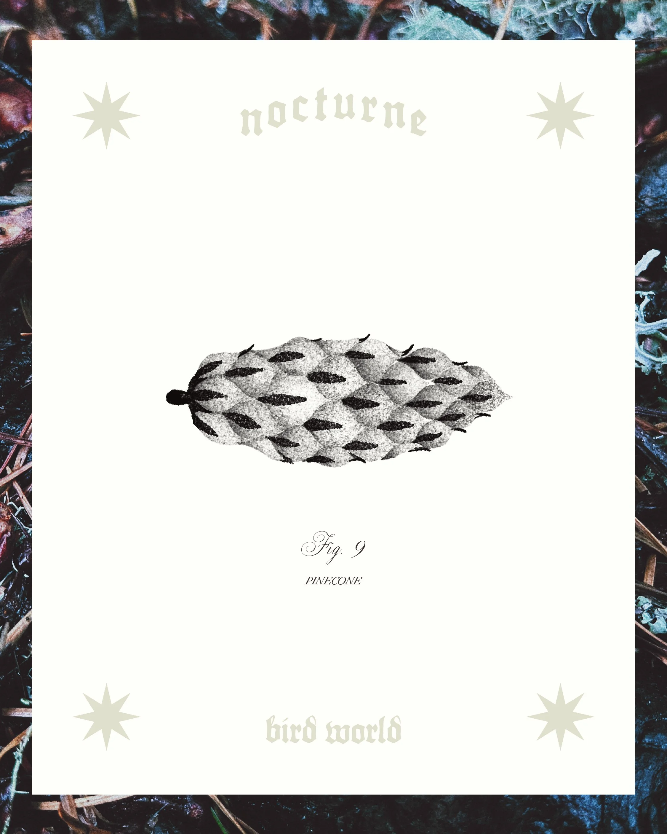 PINECONE