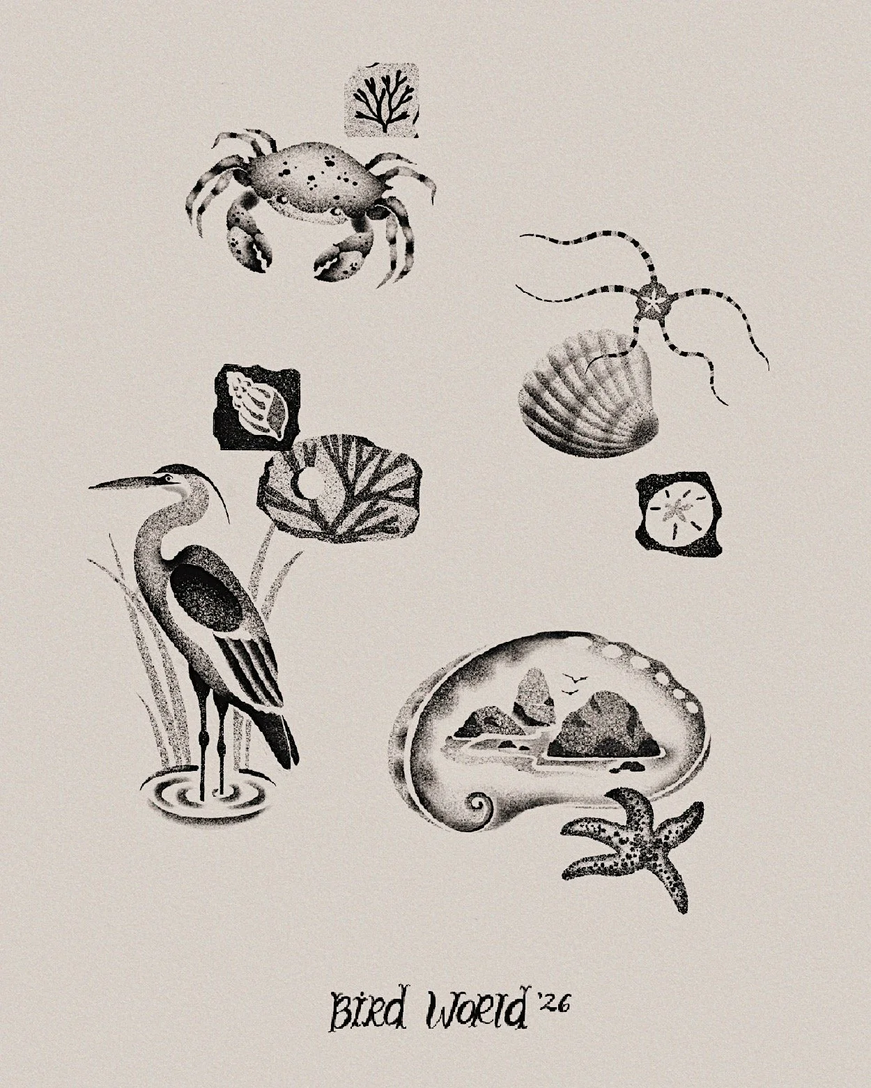 flash collage
