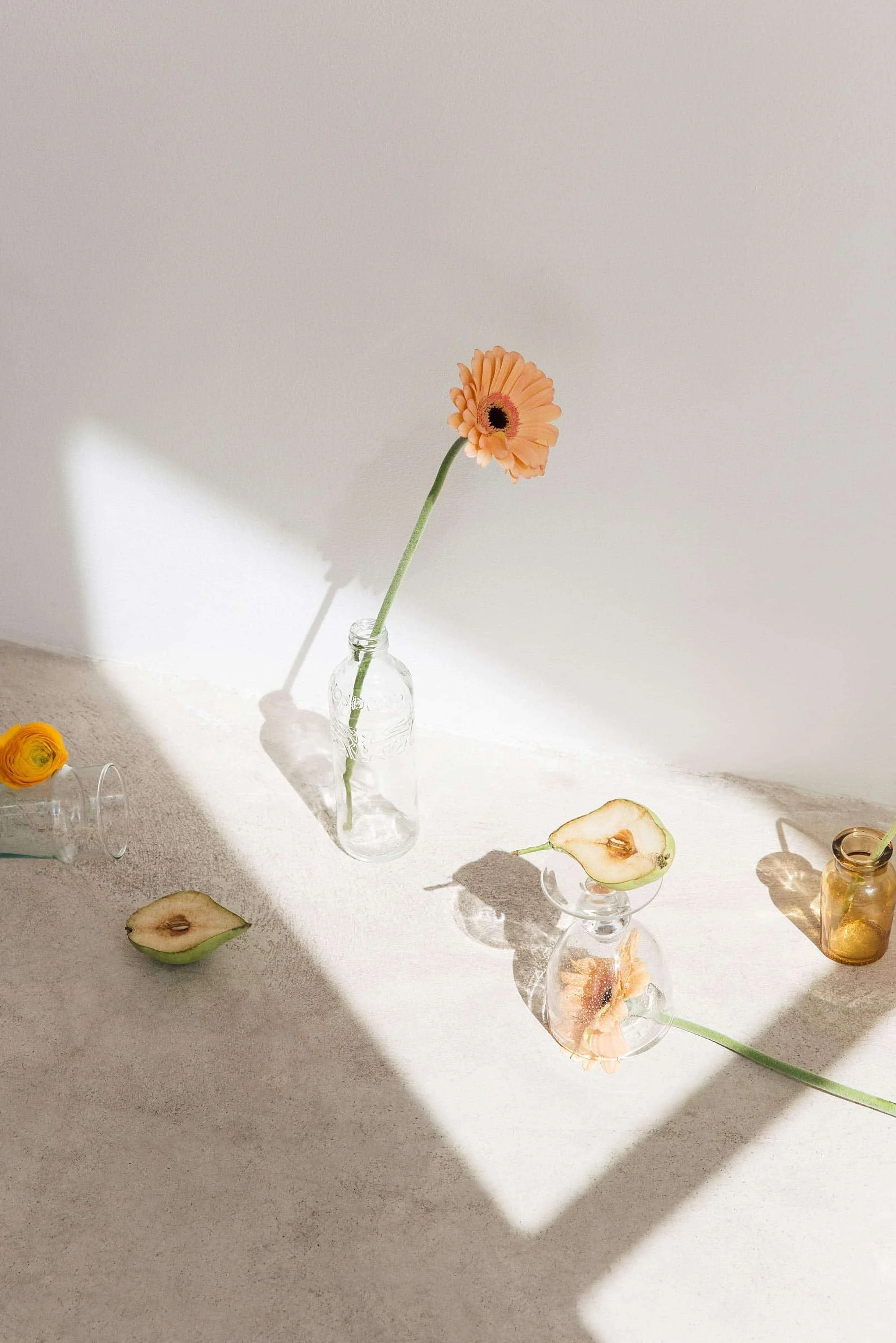 squarespace web designer for consultants and experts canada.jpg