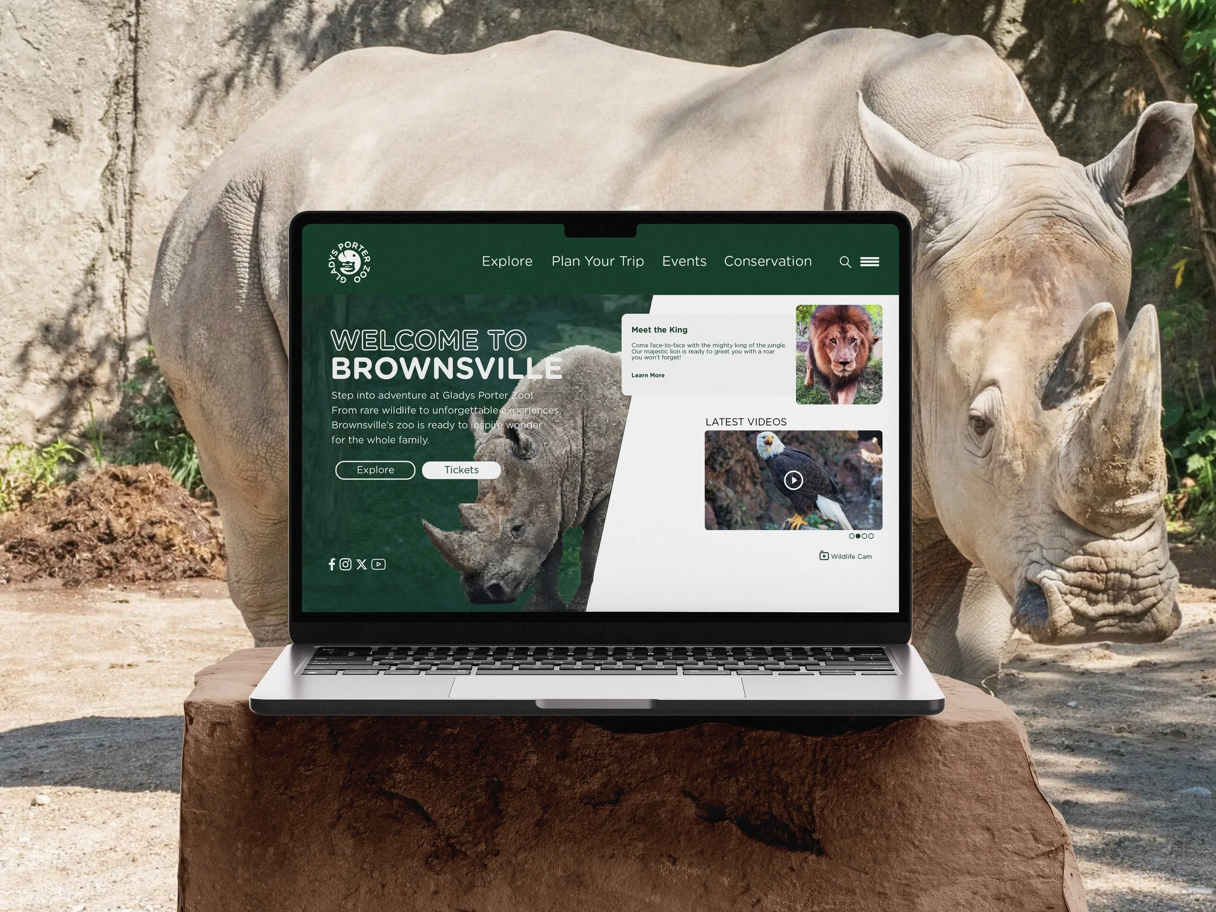 rhino-website.jpg