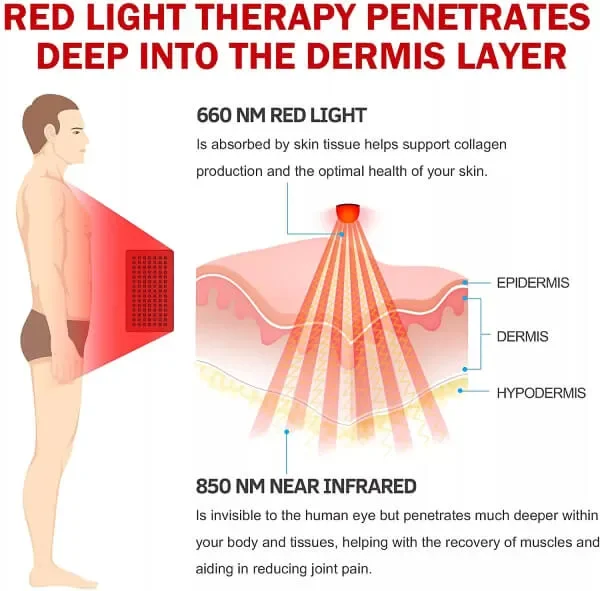 Infographic showing how red light therapy penetrates the skin