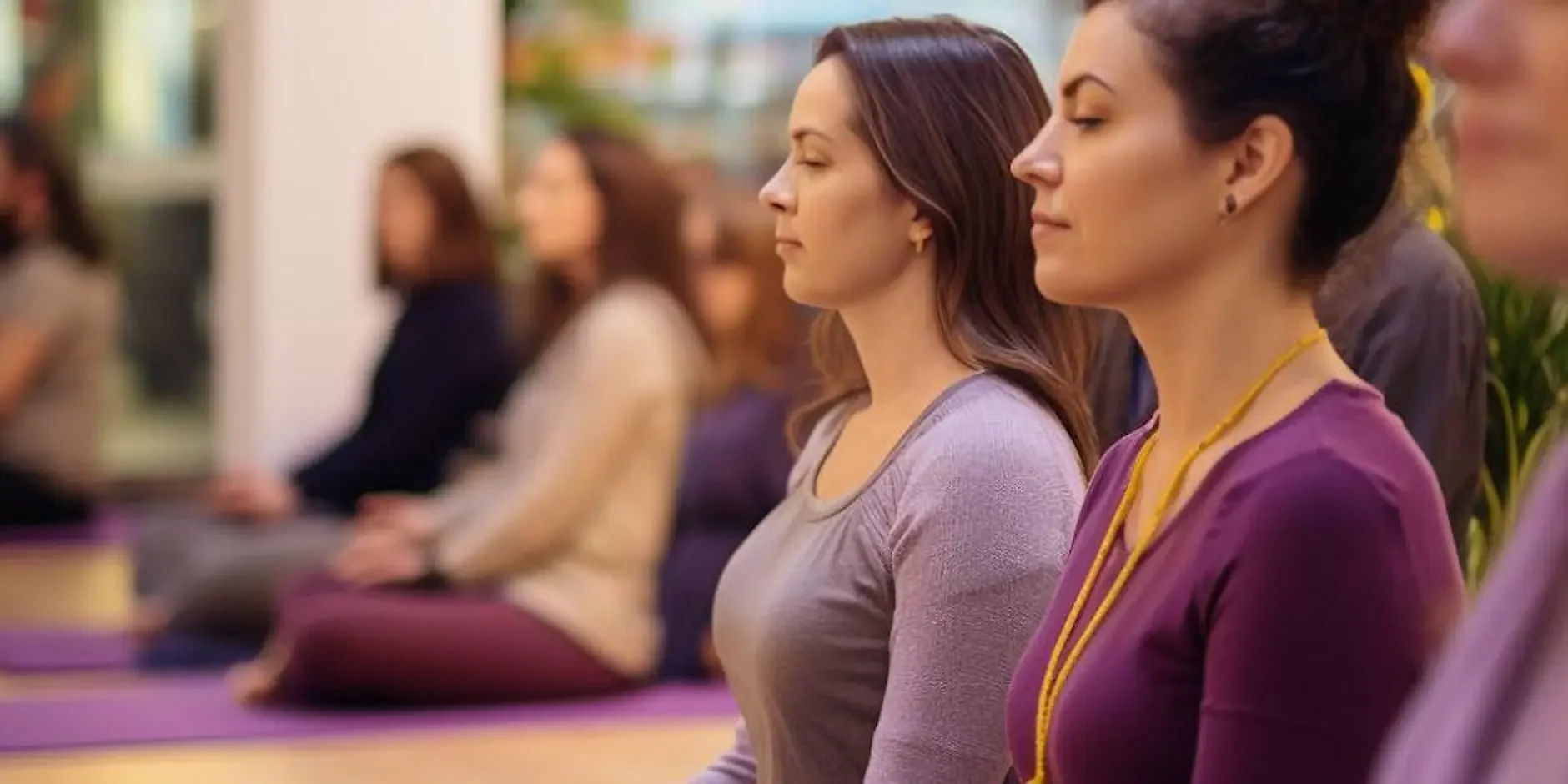 Finding Ease in a Stressed Body:   Develop a Somatic Stress Management Toolkit