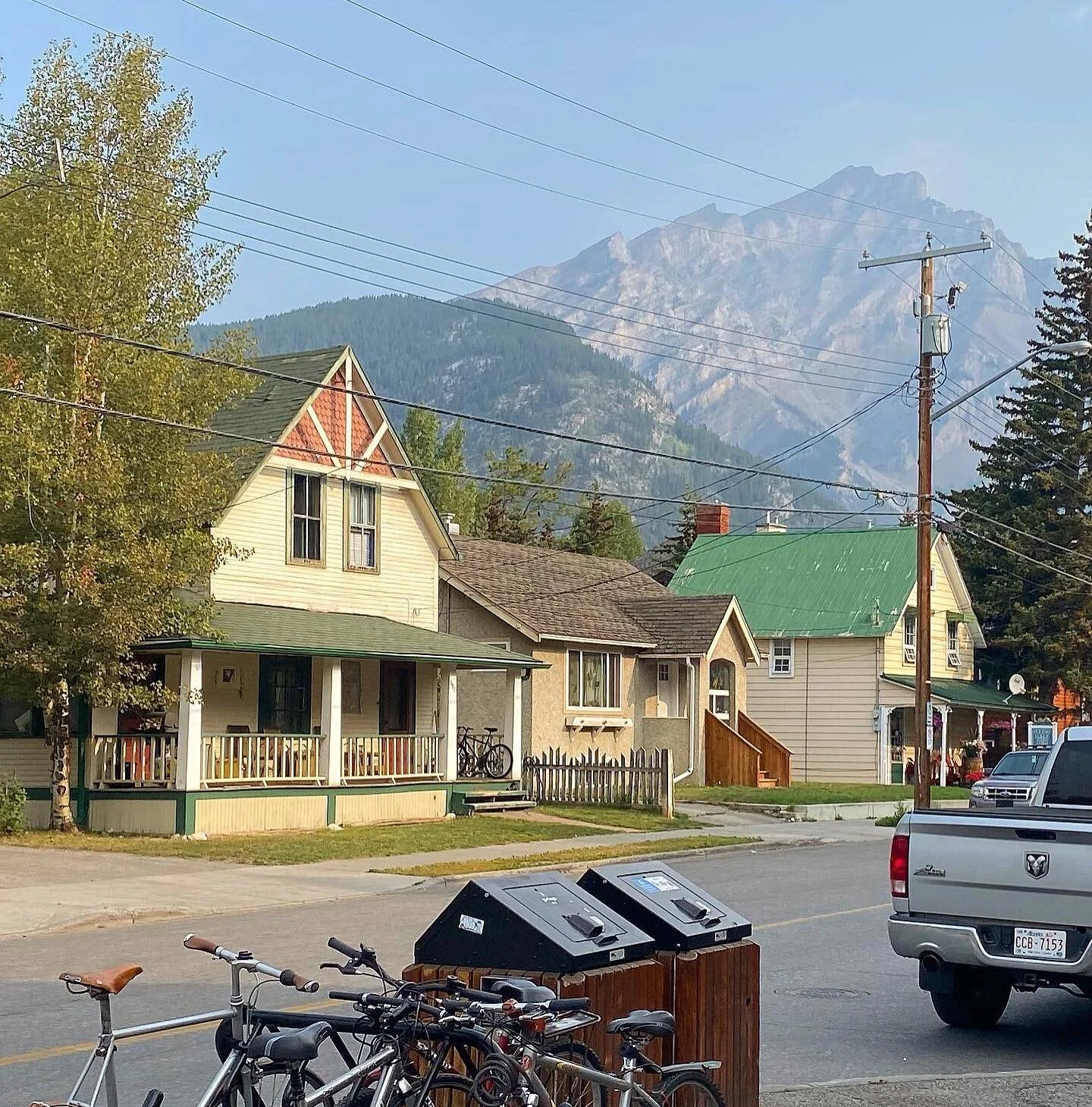 🏡Banff houses - always with a pine tree or a mountain