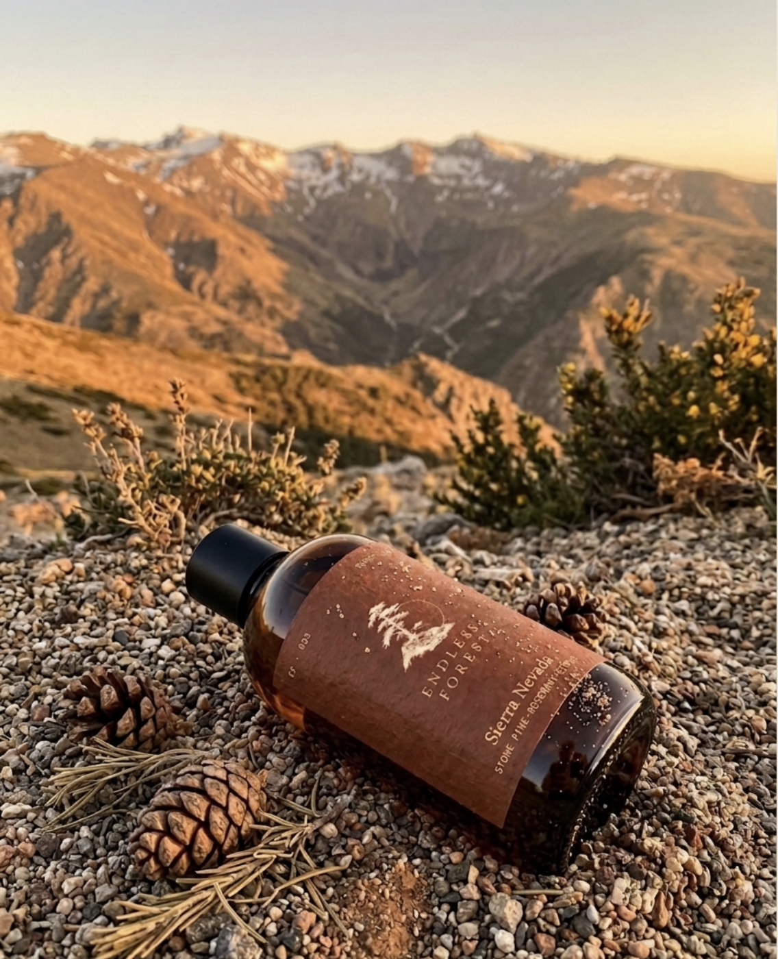 Sierra Nevada