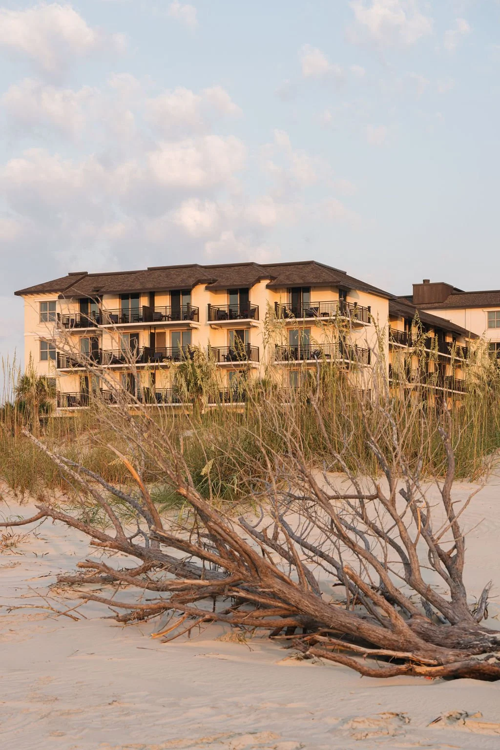 The Westin Jekyll Island hotel seen from the beach, with a driftwood branch in the foreground.