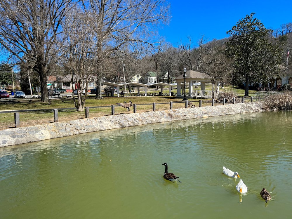 The duck pond at East Lake Park in Chattanooga.