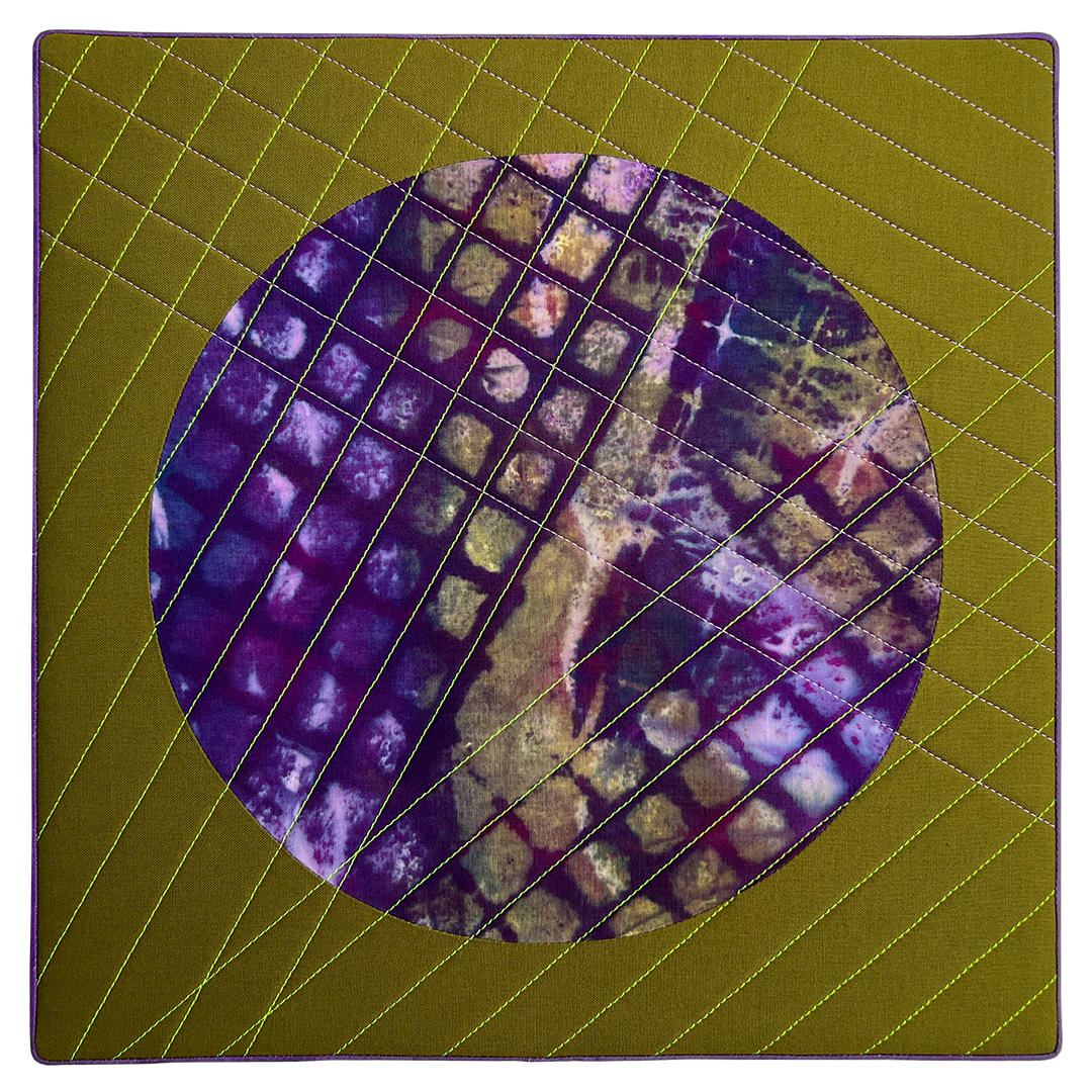 Purple Hulled Pea, 2025, 12" x 12"