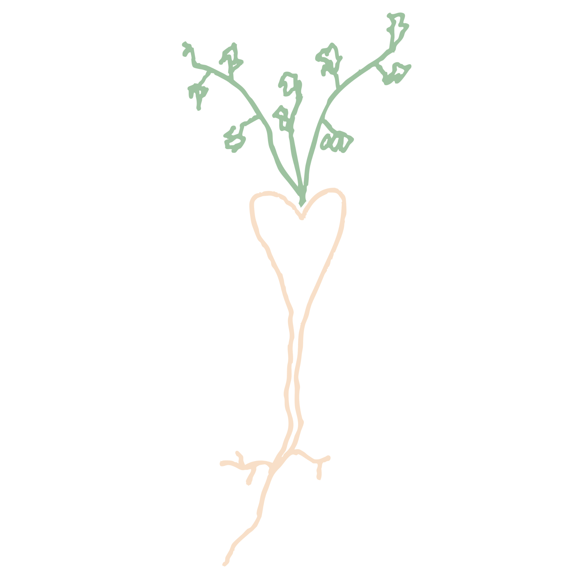 A minimalist drawing of a plant with green leaves in a peach-colored heart-shaped pot.