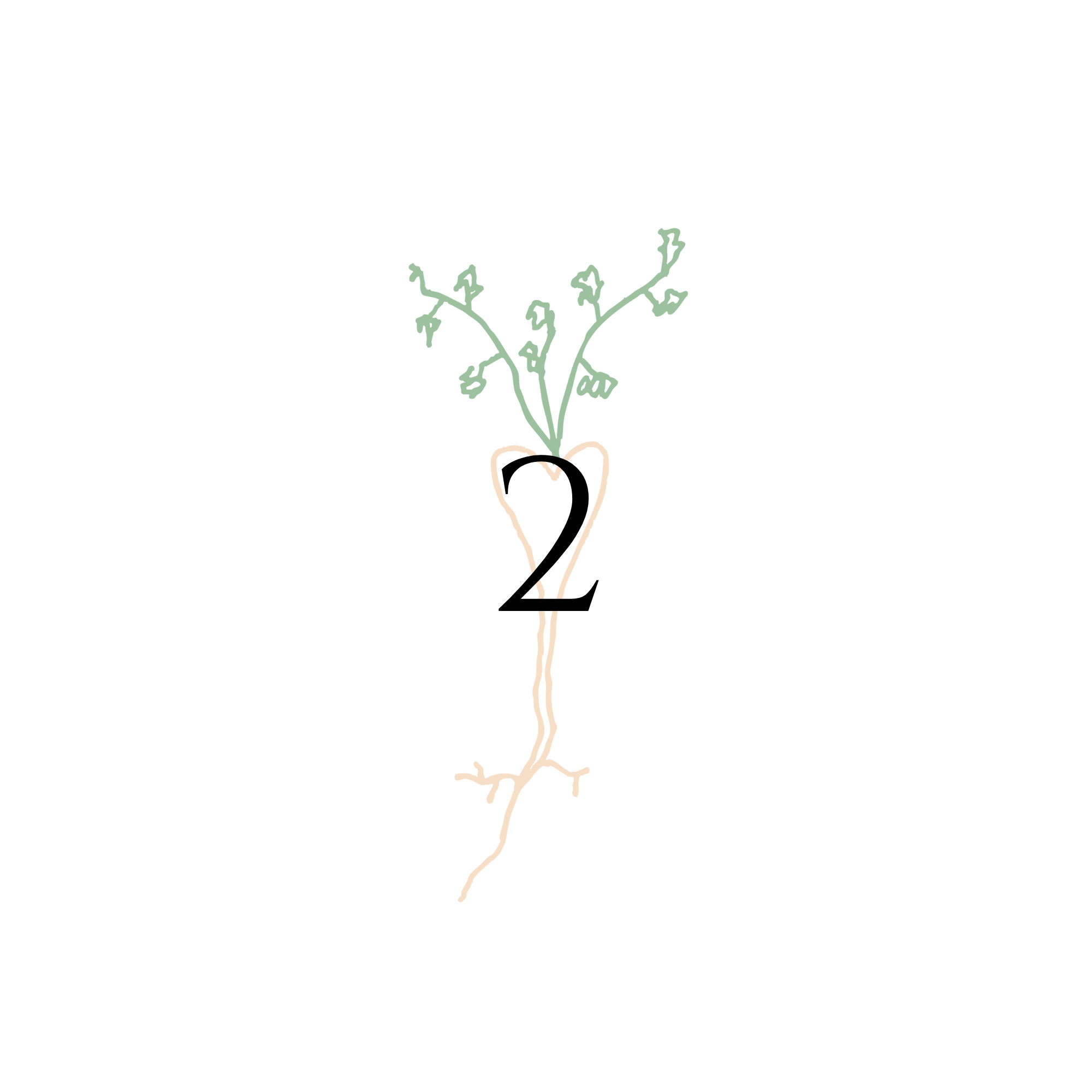 A diagram of a plant with green leaves growing from a root, with the number 2 overlaid.