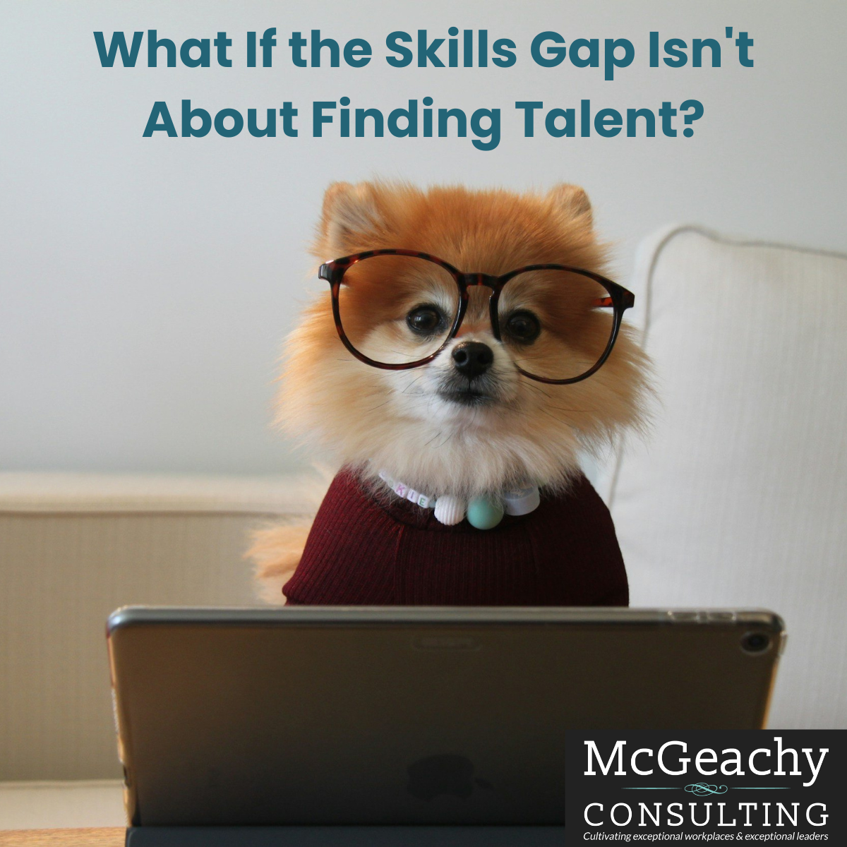 What If the Skills Gap Isn't About Finding Talent?​&nbsp;