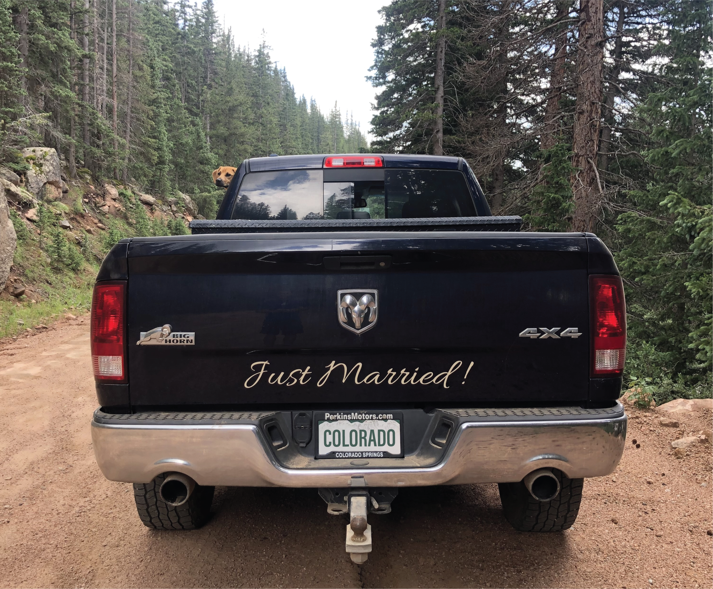 Truck - Just Married-01-01-01.png