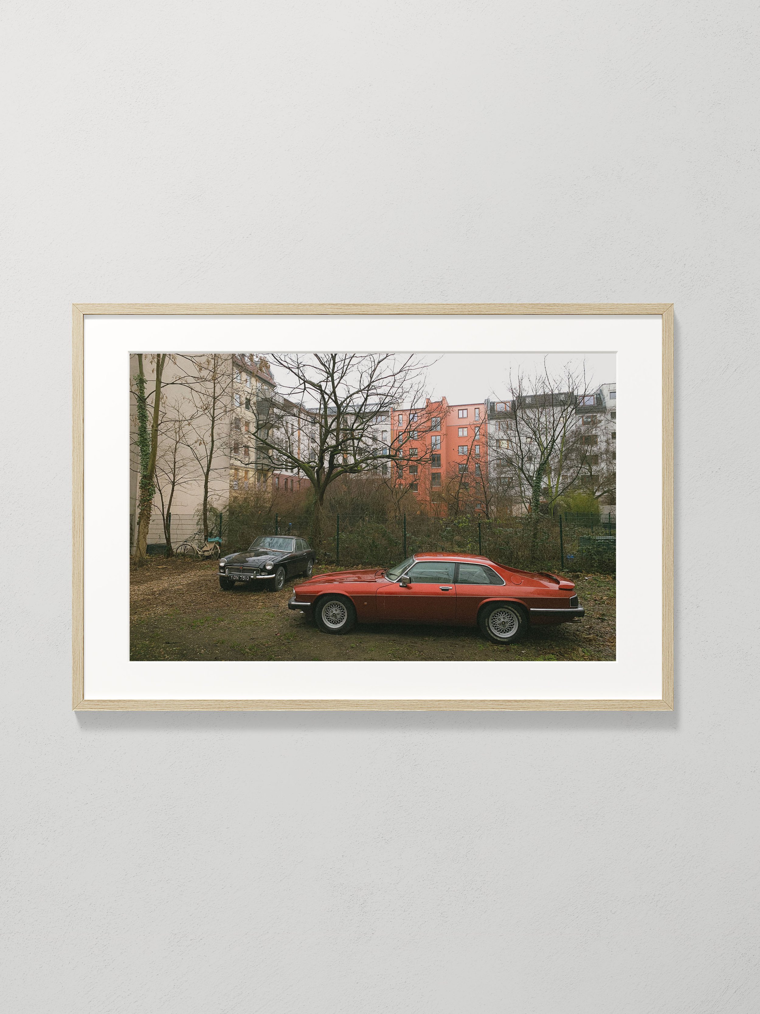 luizcitton_06_framed.jpg