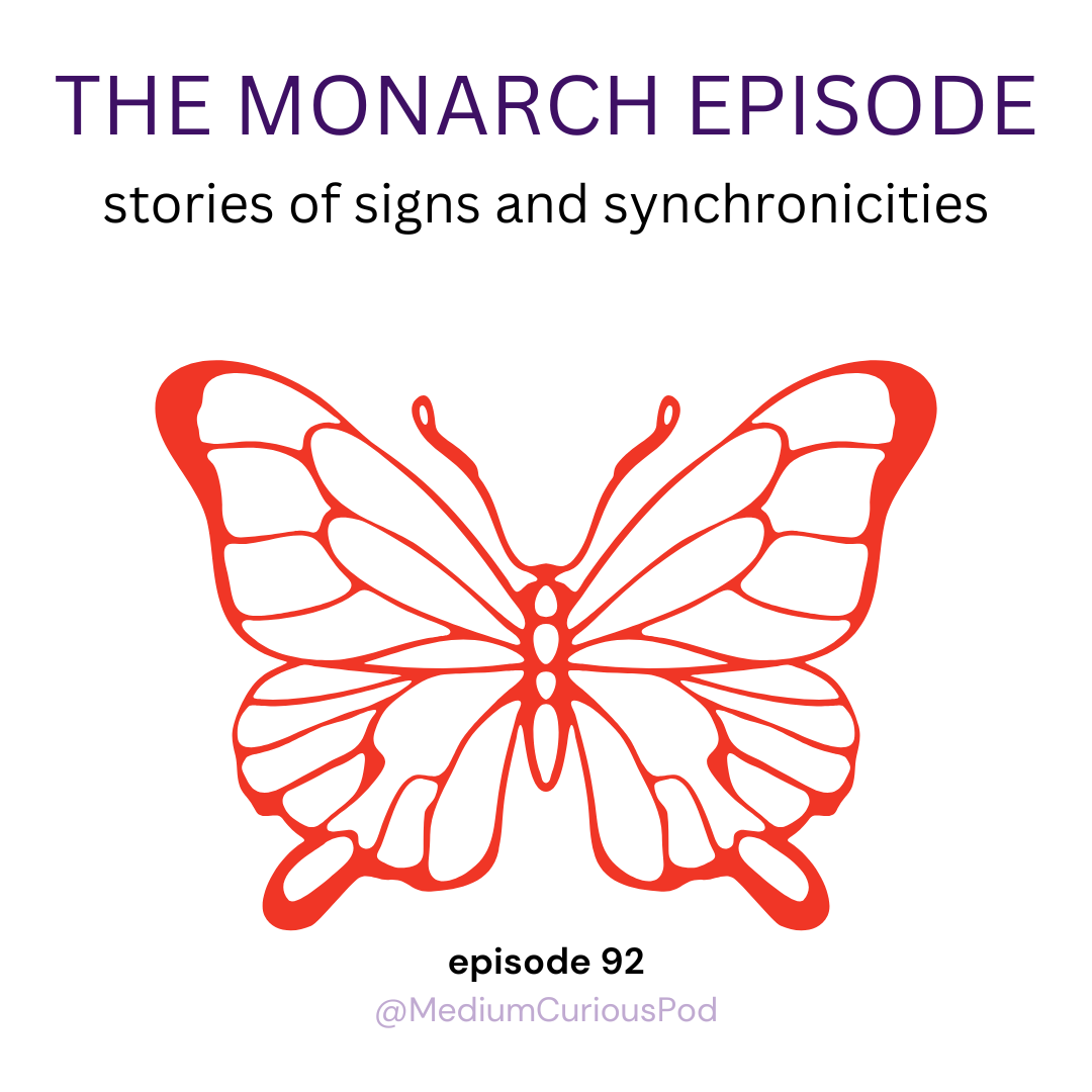 Spirit is Fancy: Real Signs, Synchronicities &amp; Messages from Loved Ones in Spirit 