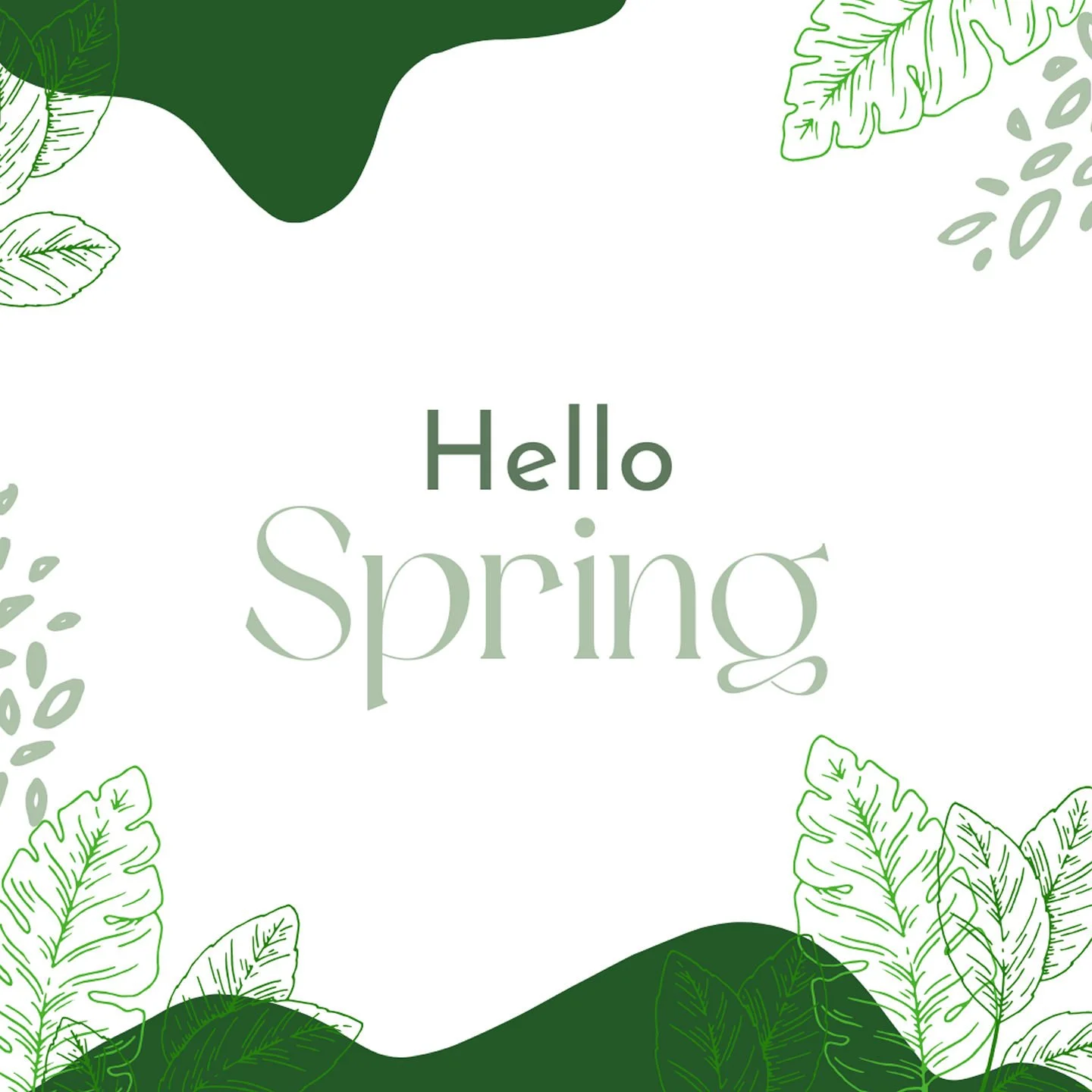 Welcome to the first day of spring! As the world awakens from its winter slumber, let's celebrate the return of warmth, growth, and vibrant colors. May this season bring you joy, renewal, and endless sunshine. #FirstDayOfSpring #SpringVibes #NewBegin