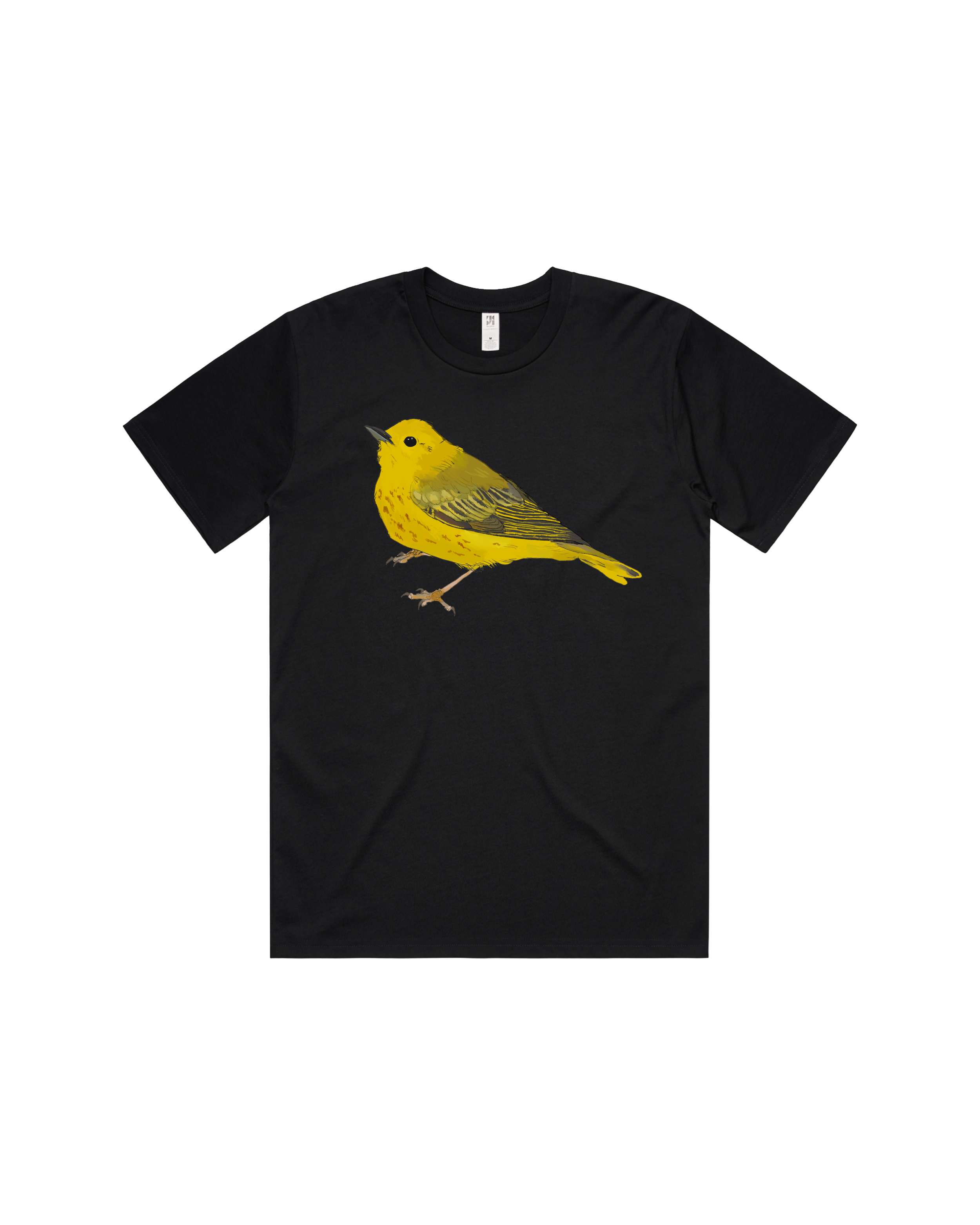 Klanchesser Mockups Final.png