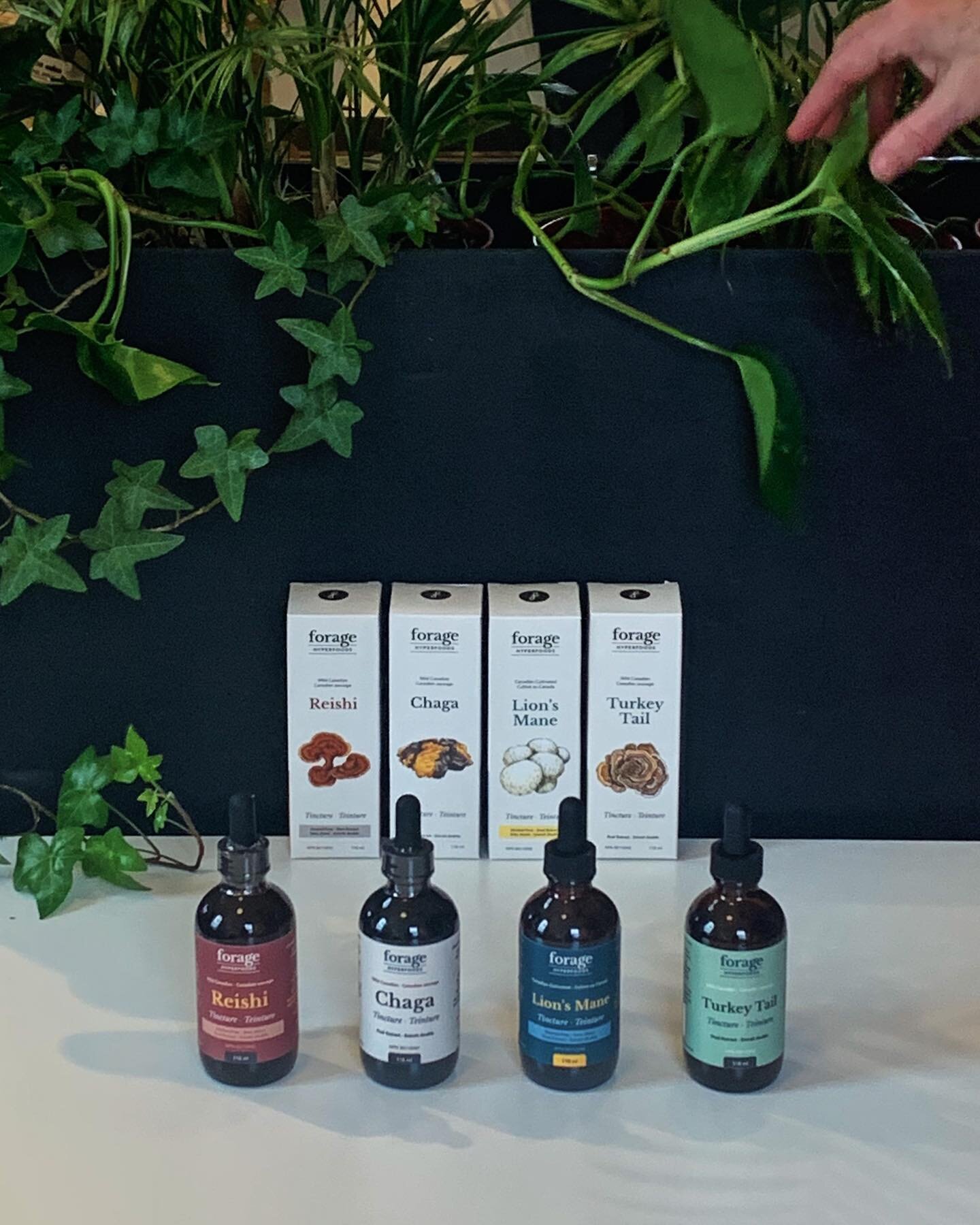 Our latest obsession has to be these functional mushroom tinctures from Forage @mushrooms 🍄 Stop in to chat about which one we&rsquo;re loving the most! 

#relishmuskoka