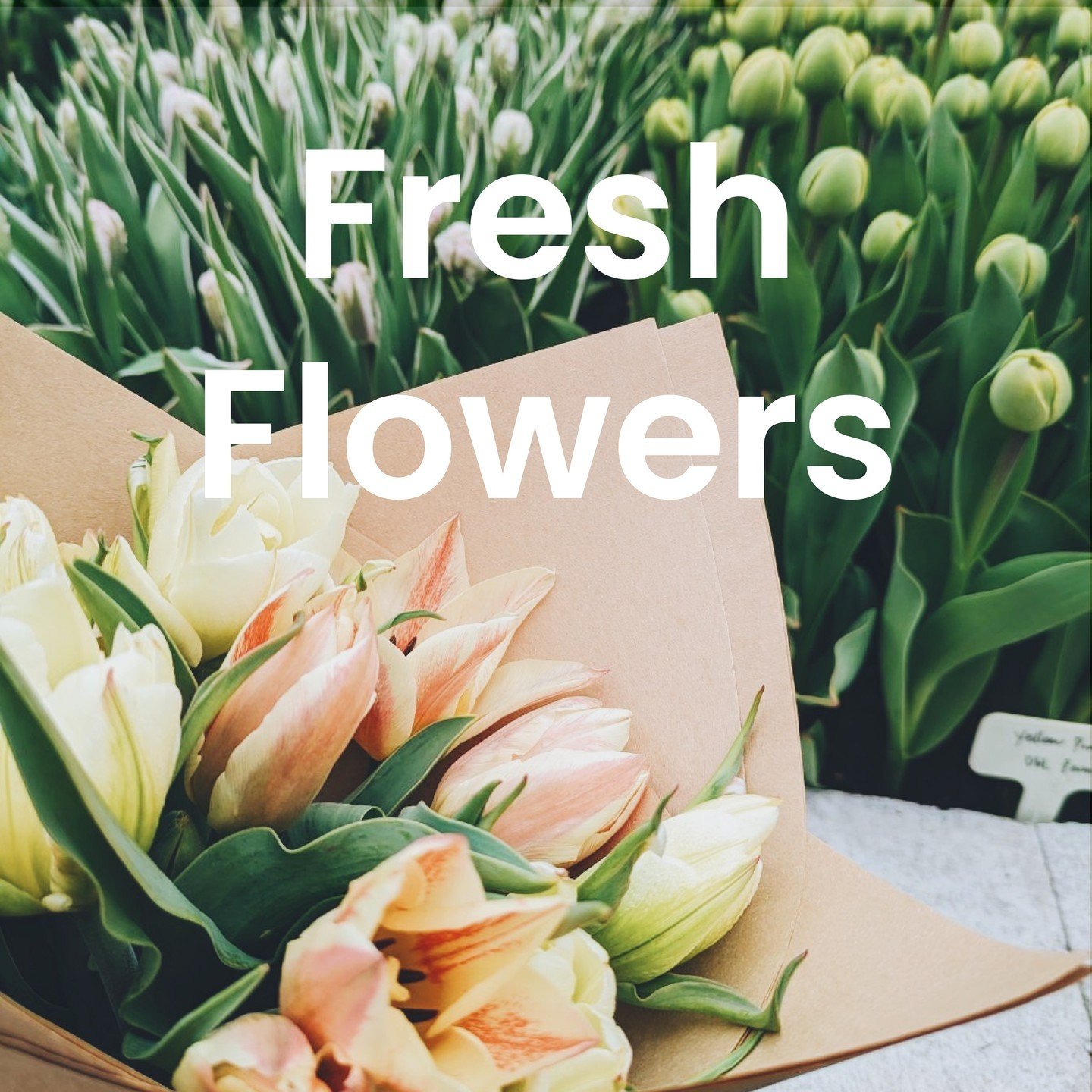 Starting Tuesday, May 7th we will be selling fresh local flowers 😊🌷Just in time for Mother's Day! Offerings will change weekly, so be sure to stop in when we're open to fill your home with blooms. ⁠
⁠
#relishmuskoka #local #supportlocal