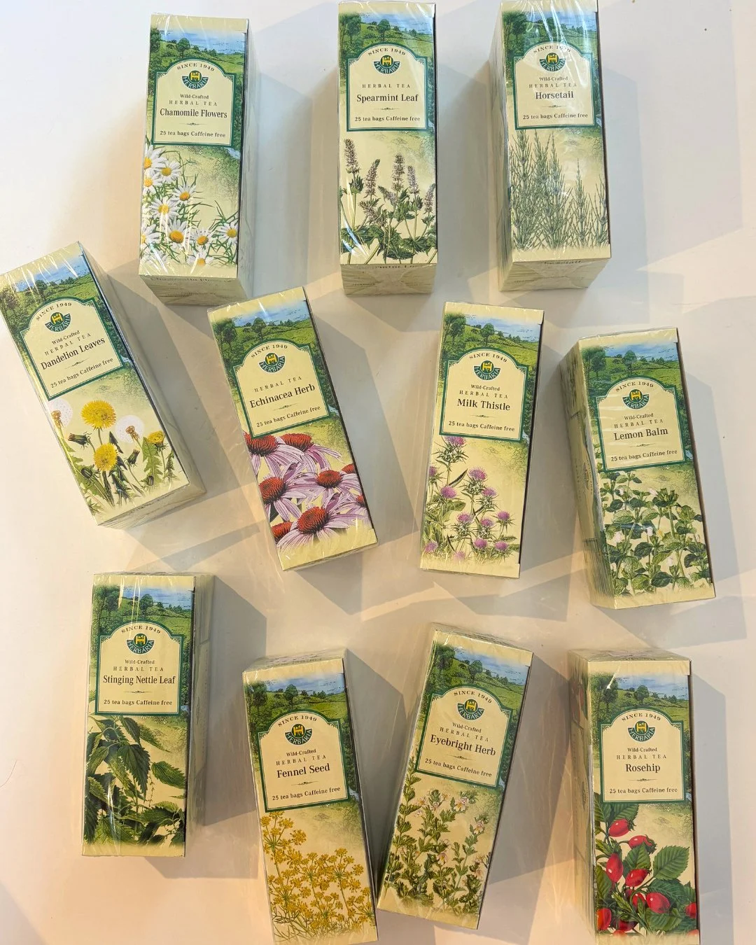 Tea with functional benefits? Let's walk through some of our faves: ⁠
⭐️ Chamomile - calms the nervous system⁠
⭐️ Spearmint Leaf - used to aid digestion, reduce stress, and potentially balance hormones⁠
⭐️ Horsetail - fluid retention, improve, streng