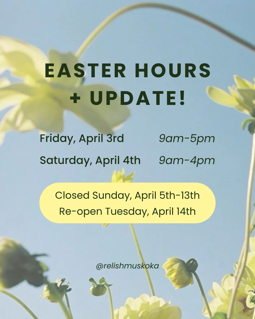 As you may have seen we are hiring for Summer '26 🌞 we've decided to take a week to re-staff, refresh, and prep for the busy season ahead! ⁠
⁠
Oh, and if you or someone you know is looking for a job please be sure to come by with your resume and we 