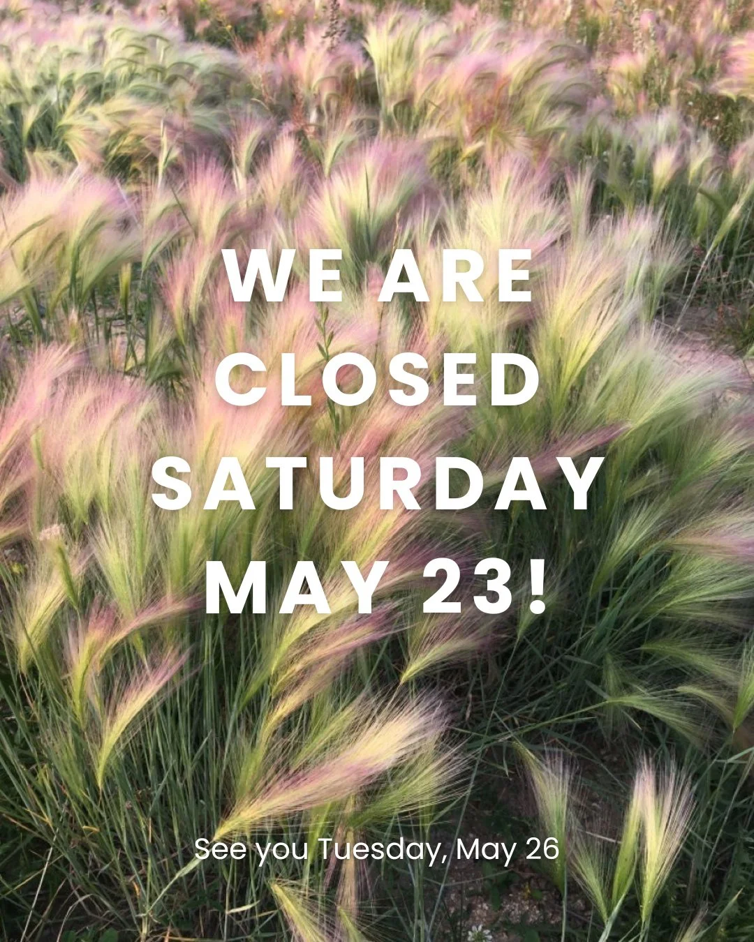 We are closed this Saturday, May 23 ☀️ ⁠
⁠
#relishmuskoka
