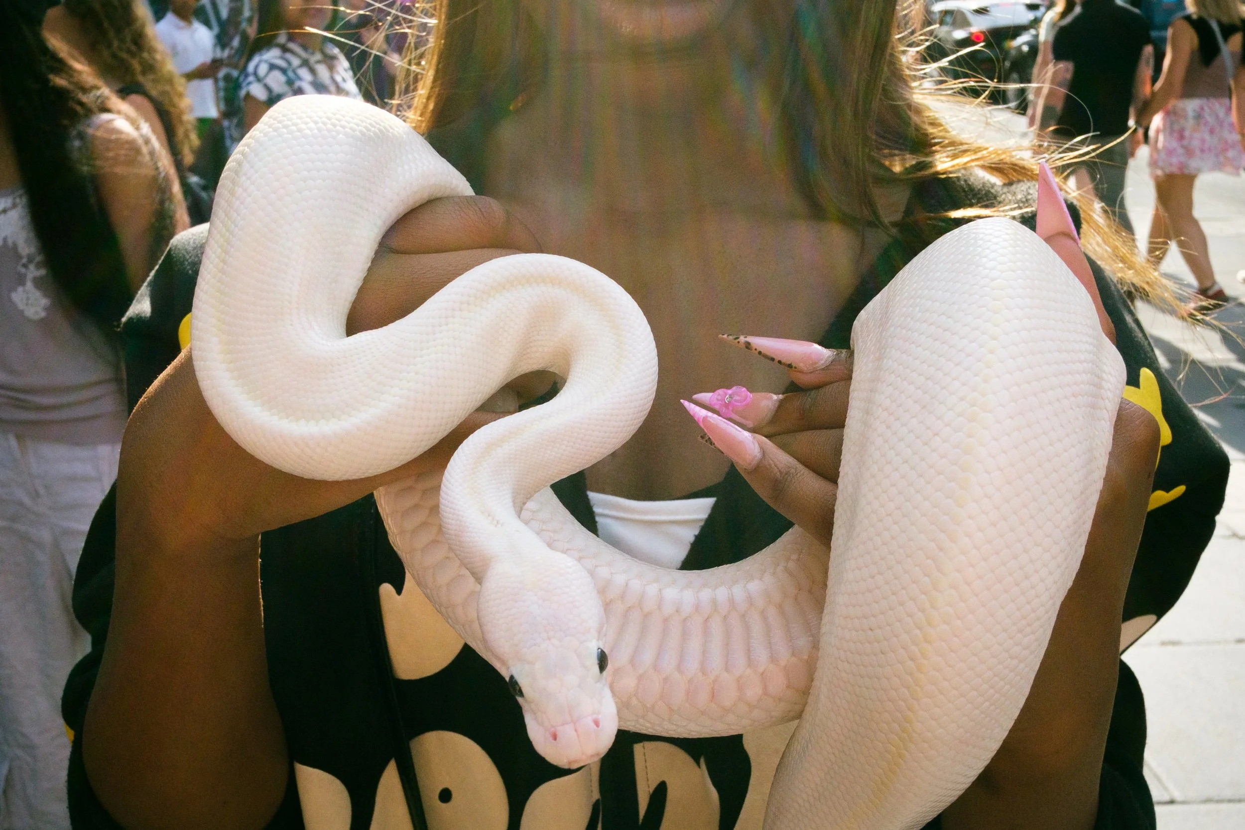 Snake.jpg