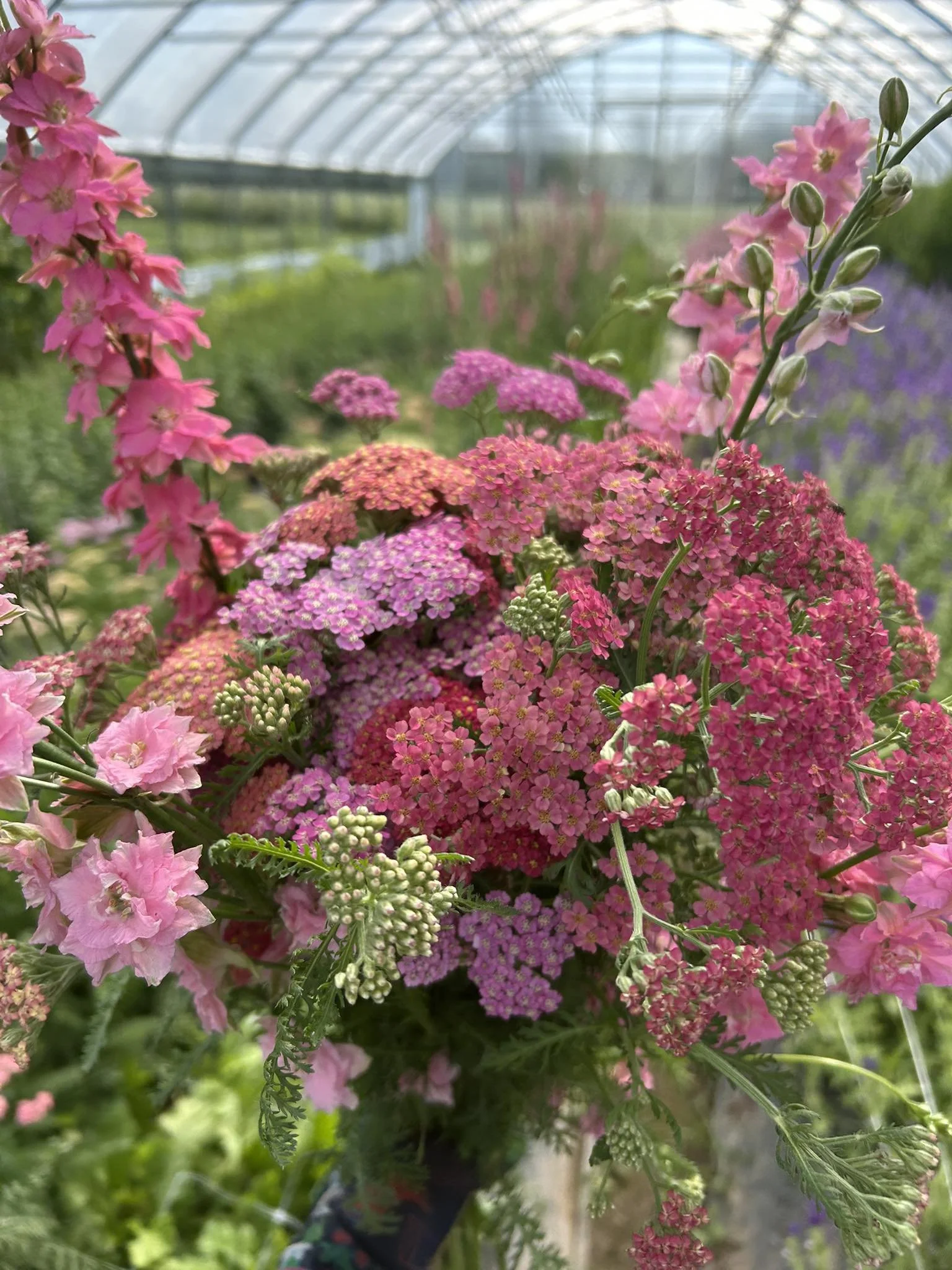 Red's Petals Farm