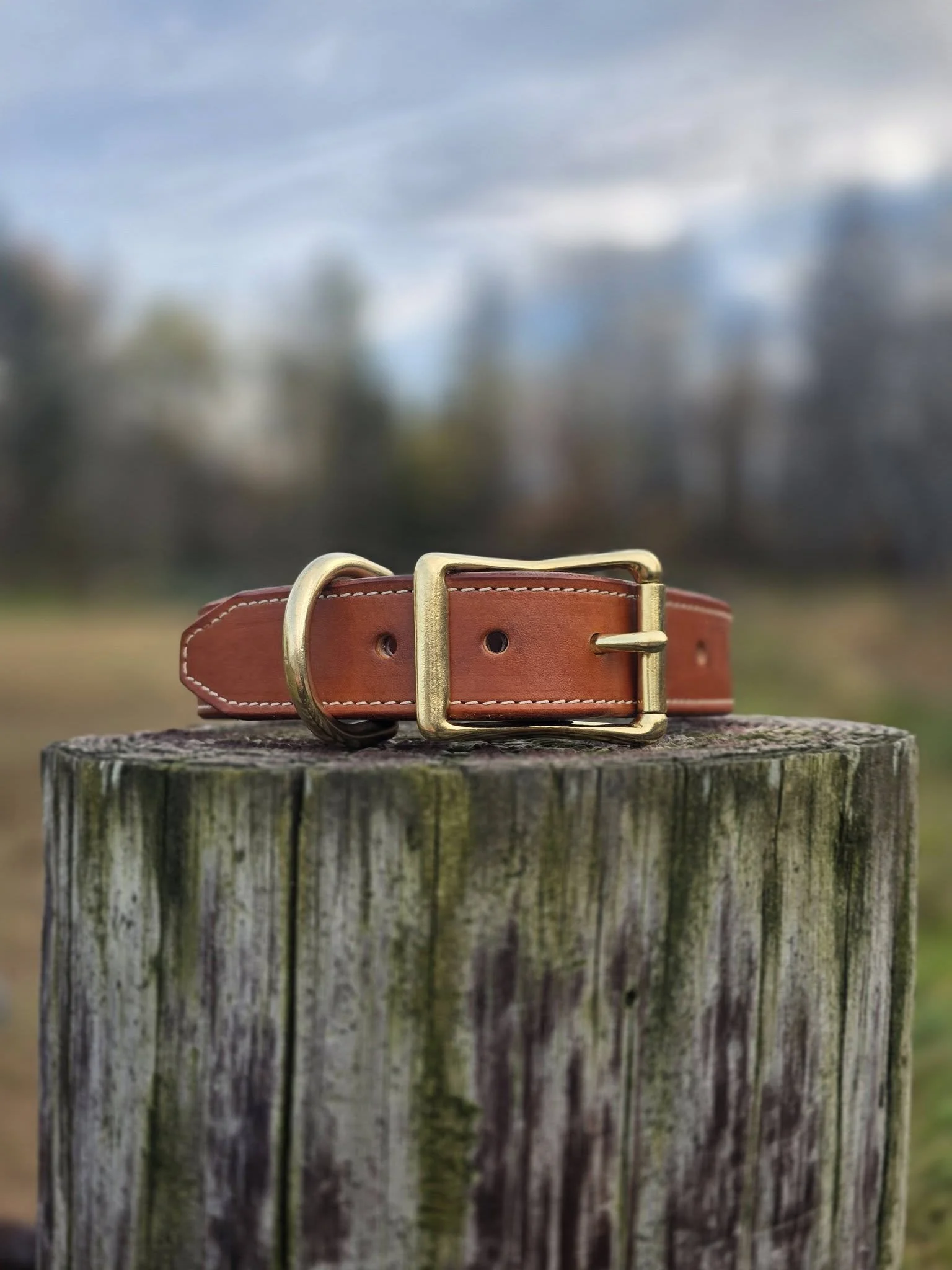 American Heritage Company