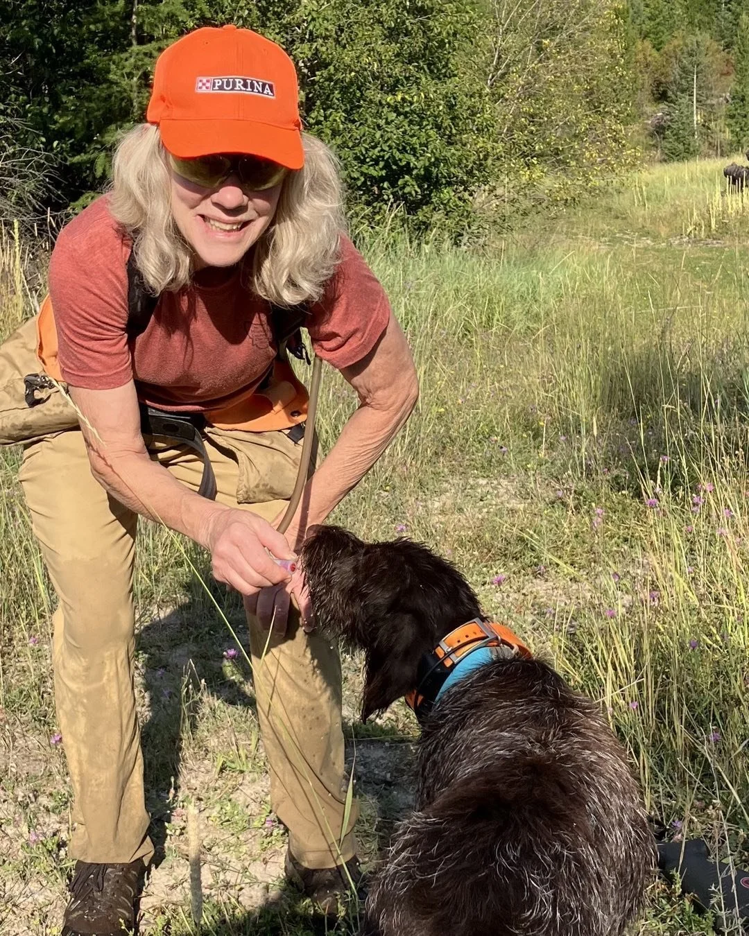 Enjoyed spending opening day of grouse season with Diane Boyd and her amazing Griffon pup Sky. This dog is going to be one to watch. We just need to find her more birds. @mtcanis #birddogs #pointersrule #ruffedgrouse #montana #thankgodforseptember